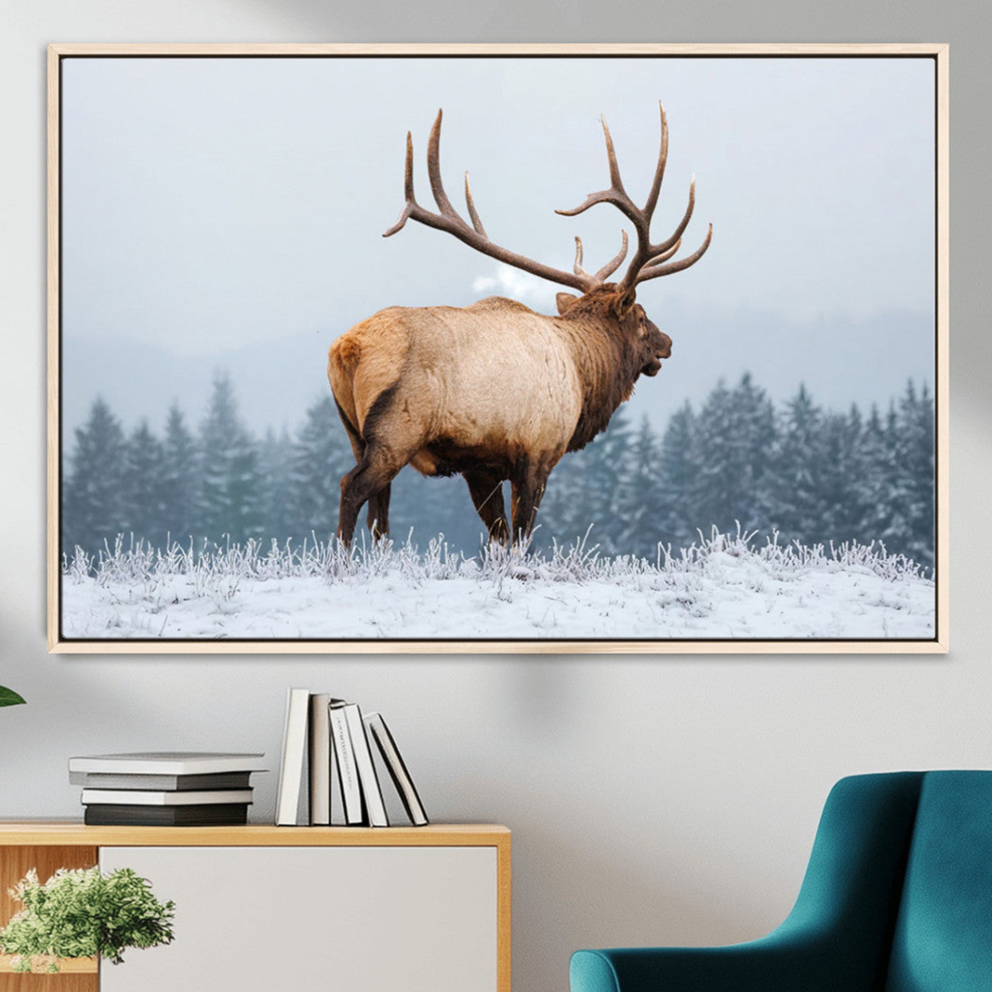A majestic elk standing in a snowy landscape, with large antlers, set against a backdrop of evergreen trees and a soft winter sky.