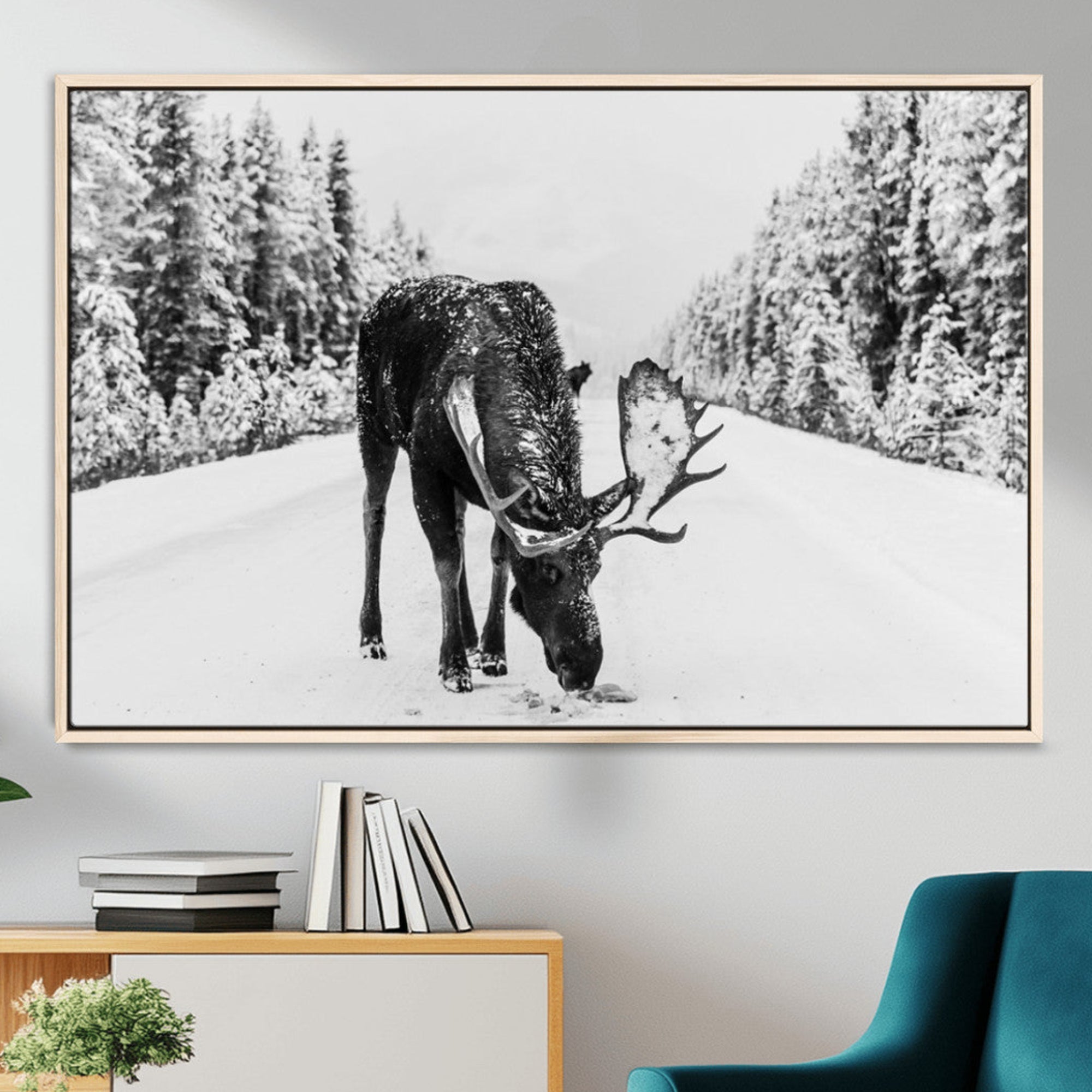 A majestic moose grazing in the snow-covered wilderness, surrounded by snow-covered trees, creating a peaceful winter scene.