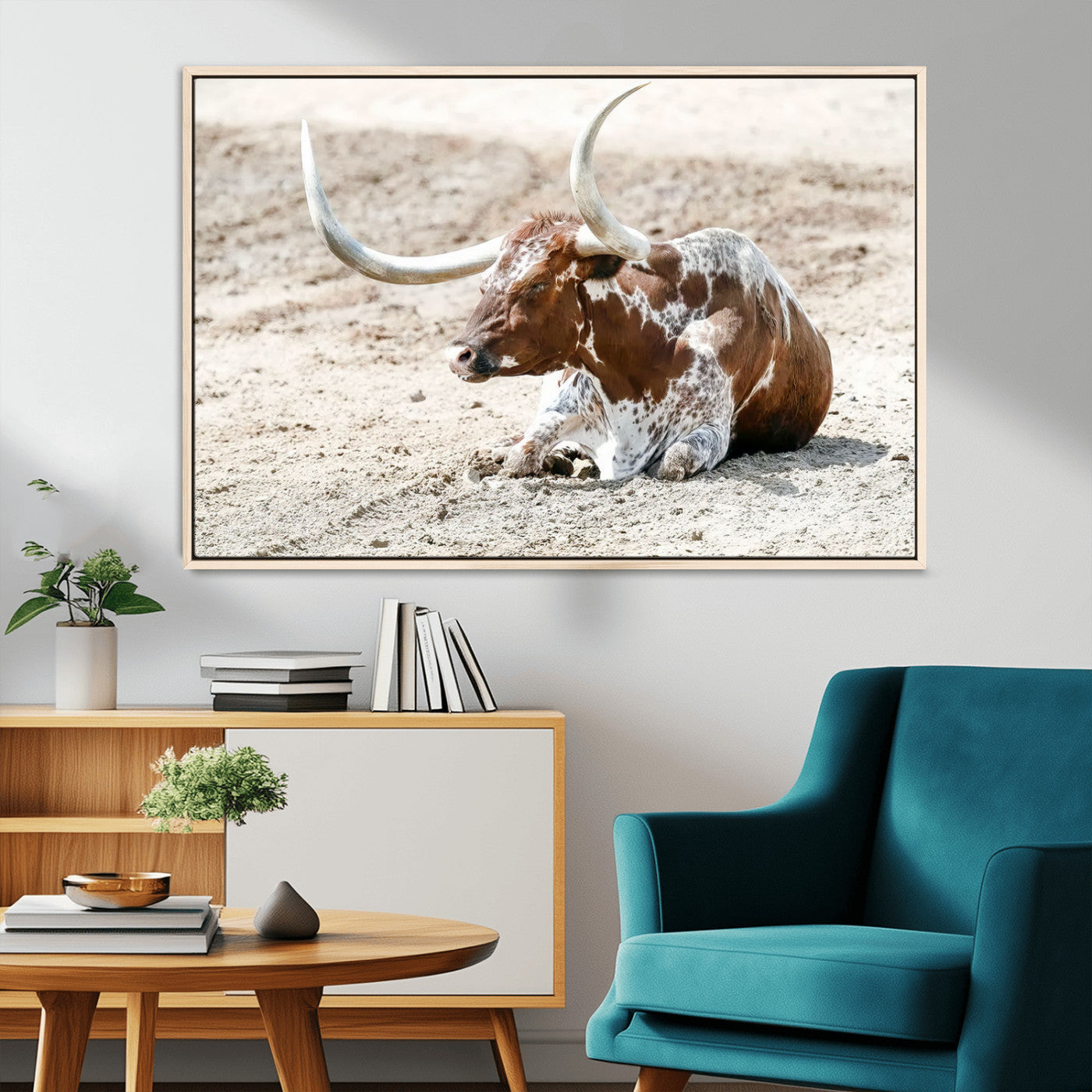 MGV-FC-36X24 - Majestic Longhorn Resting on Sunlit Desert Ground – Striking Western-Themed Wall Art Canvas Print
