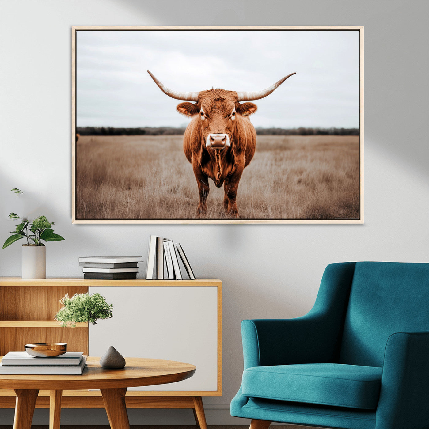 MGV-FC-36X24 - Longhorn bull, open field, rustic charm, natural beauty, Wall Art Canvas Print, countryside,