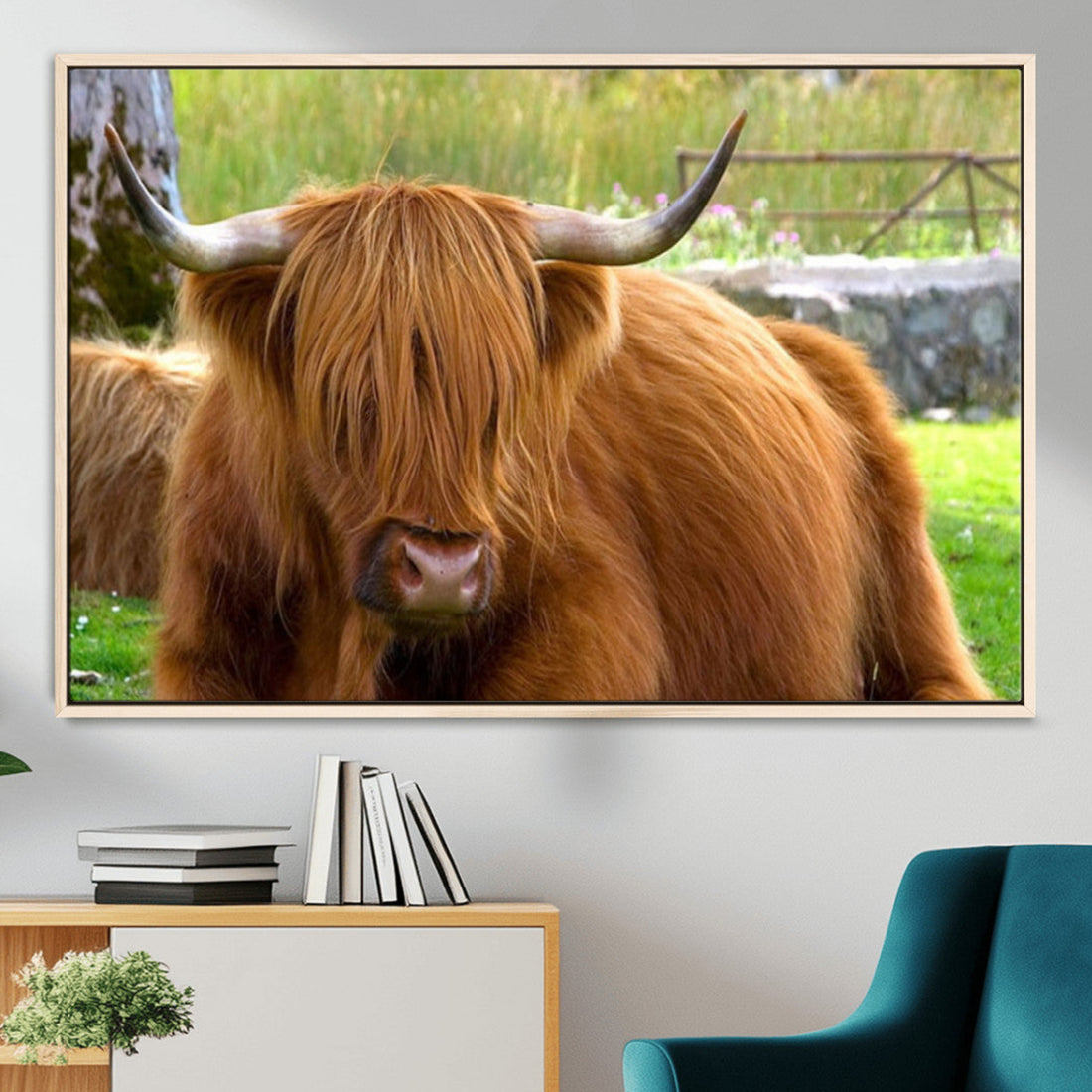 Highland Cow Wall Art, Rustic Farm Animal Canvas Print, Long Hair Cow in Green Pasture