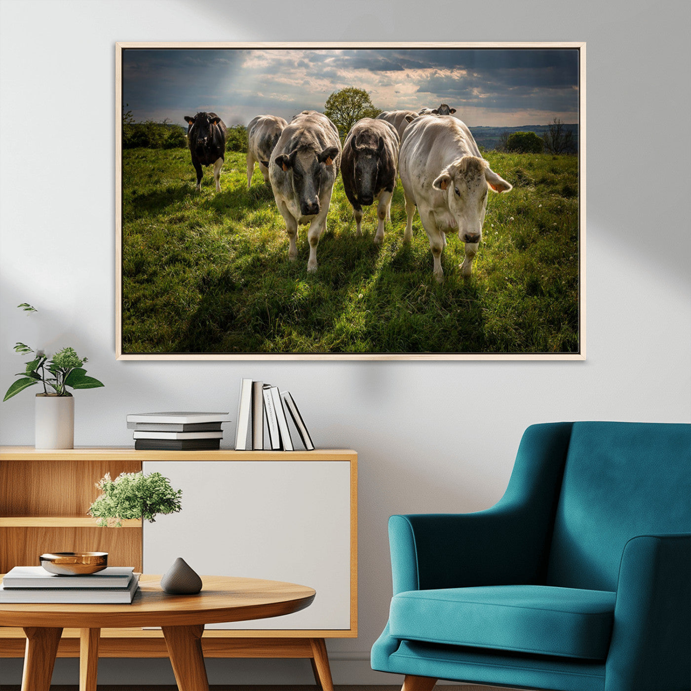 67277447-MGV-FC-36X24_Natural-Grazing Cattle Herd Pasture Green Field Livestock Natural Farm Animals Rural Life Outdoor Wall Art Canvas Print