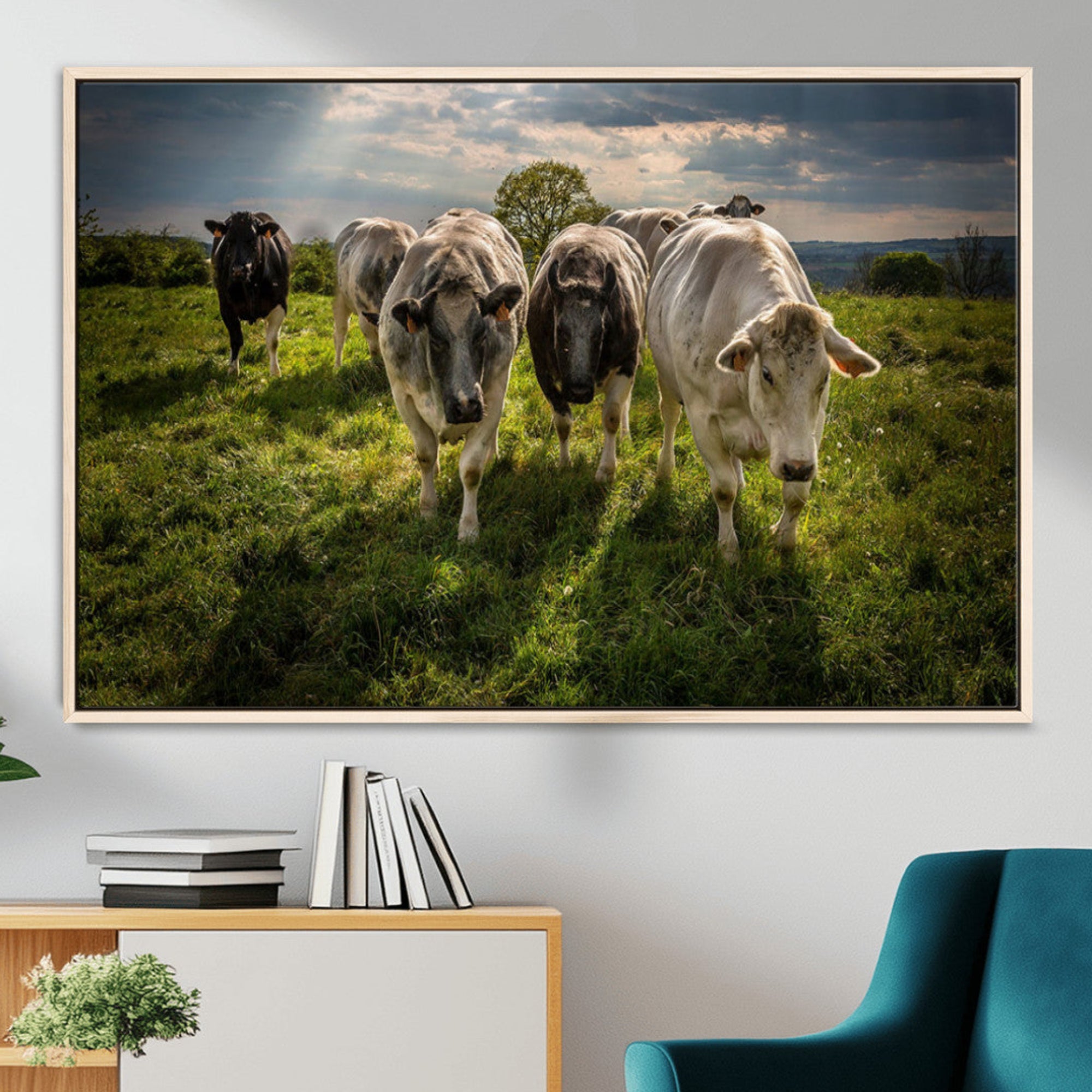 67277447-MGV-FC-36X24_Natural-Grazing Cattle Herd Pasture Green Field Livestock Natural Farm Animals Rural Life Outdoor Wall Art Canvas Print