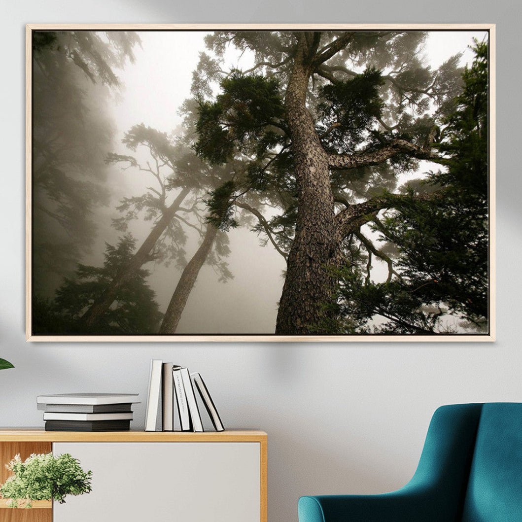 87969493-MGV-FC-36X24_Natural-Misty Forest Tall Trees Foggy Atmosphere Nature Serenity Calm Wooded Landscape Tranquil Scene
