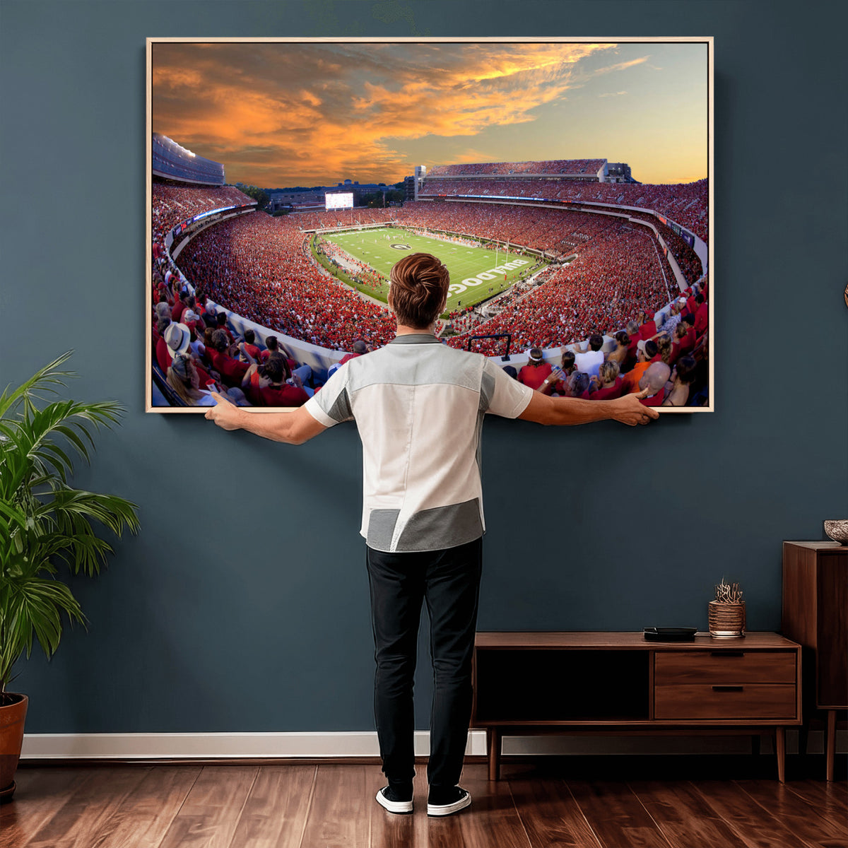 73680988-MGV-CV-36X24 - Dooley Stadium Wall Art, Sports Arena Canvas Print, Dooley Field, Framed and Ready to Hang