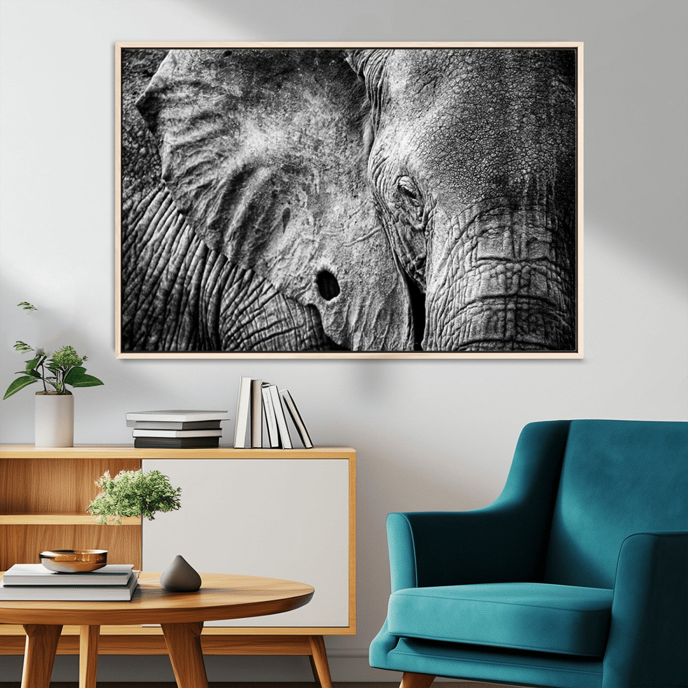 MGV-FC-36X24 - Wild Old Elephant Wall Art Canvas Print