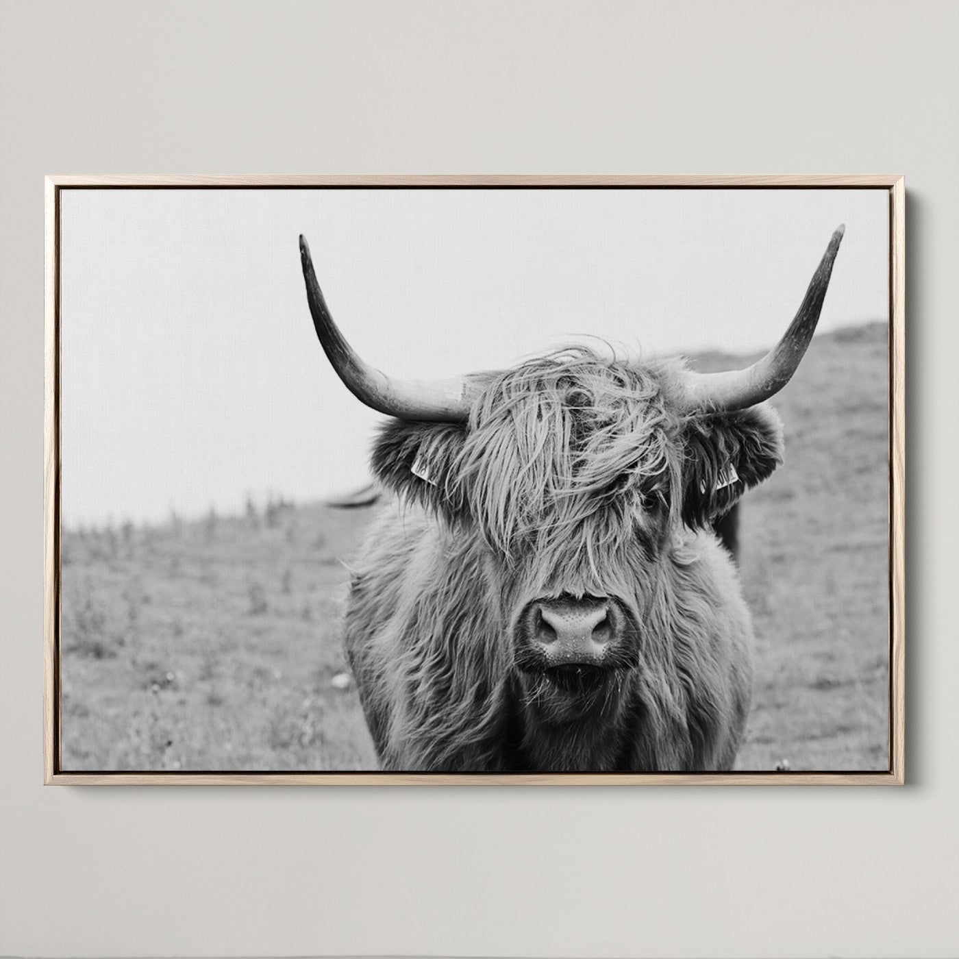 16248-MGV-CV-36X24-Newfoundland Cow Art Wall Art, Black White Cow Art Wall Art Canvas Print