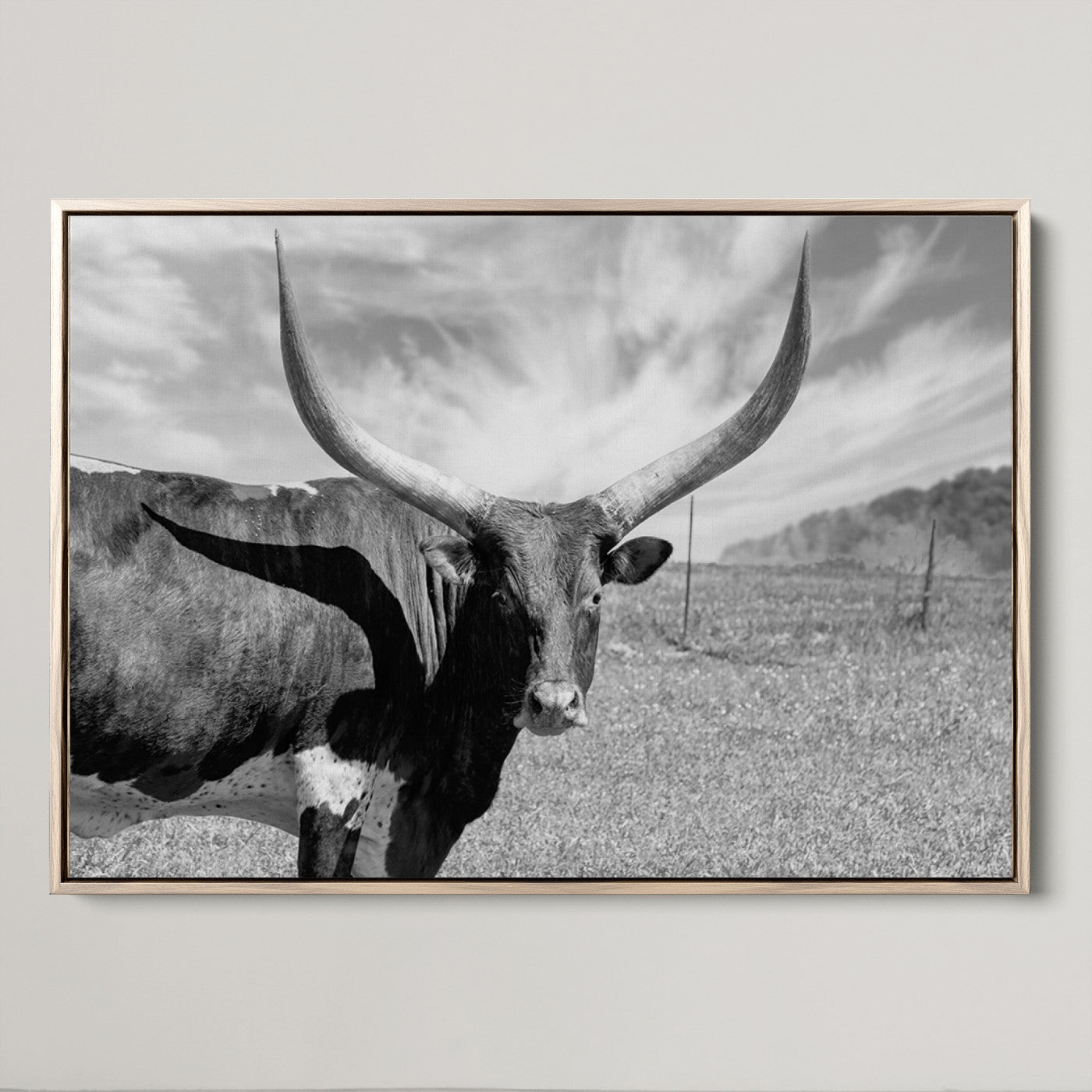30017-MGV-CV-36X24-Cattle Wall Art Longhorn Cow Canvas Print