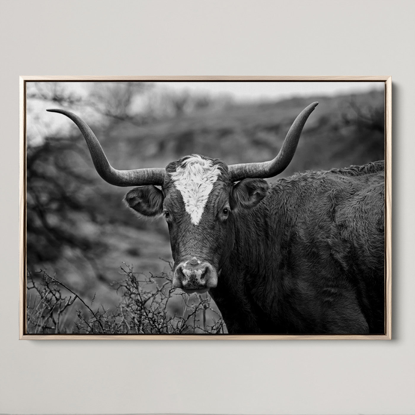 76200-MGV-CV-36X24-Western Home Wall Art Canvas Print, Framed Texas Longhorn Art Picture Print, Rustic Cow Perfect Rustic Farmhouse Decor Artwork