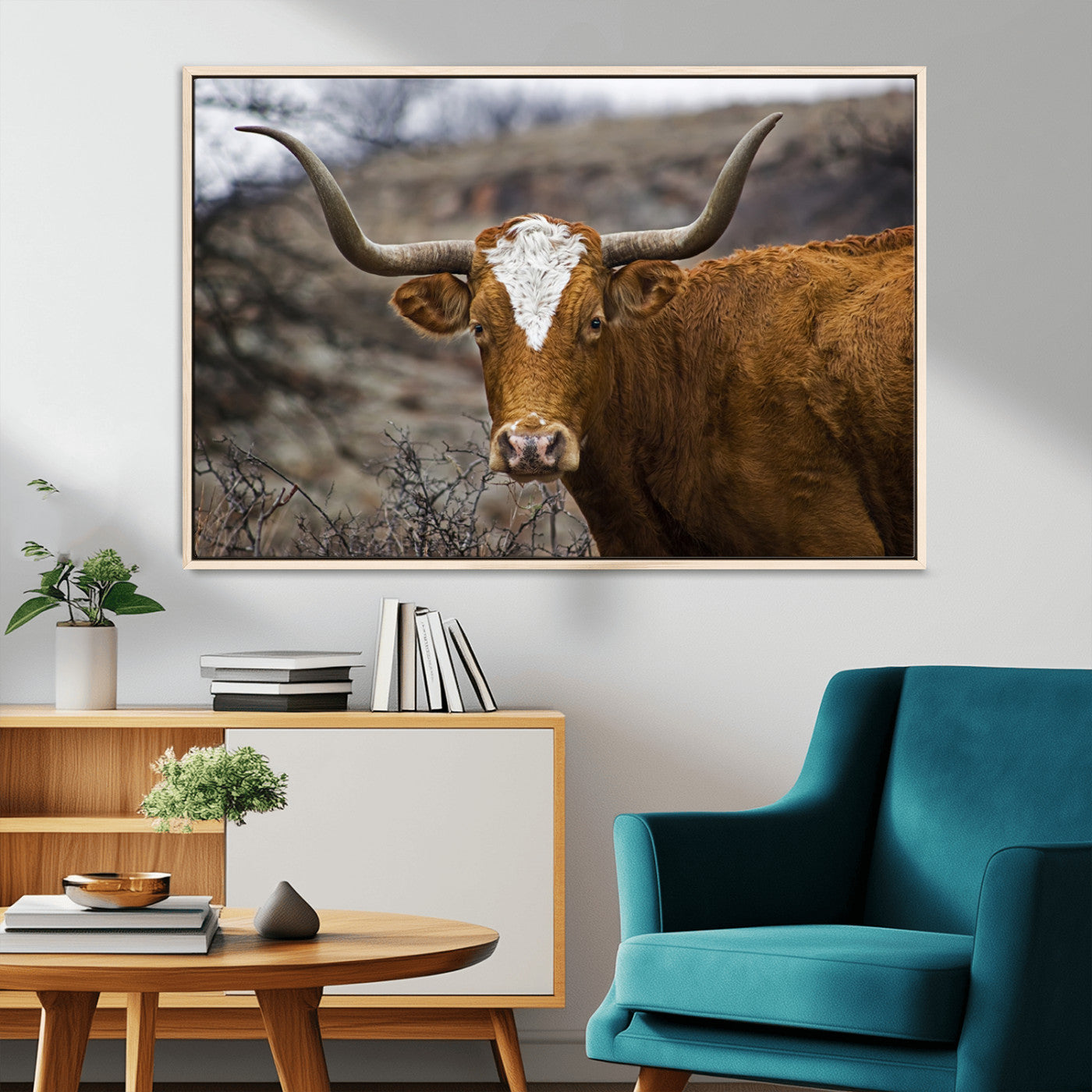 MGV-FC-36X24 - Texas Longhorn Canvas Wall Art - Longhorn Steer Canvas Wall Art Print- Rustic Western Animal Print,