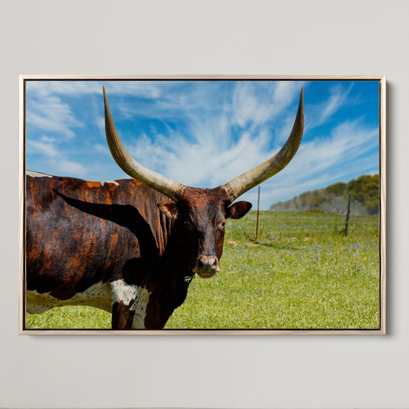 47037-MGV-CV-36X24-Longhorn and Cow Wall Art, Country Cow Wall Decor Canvas Print