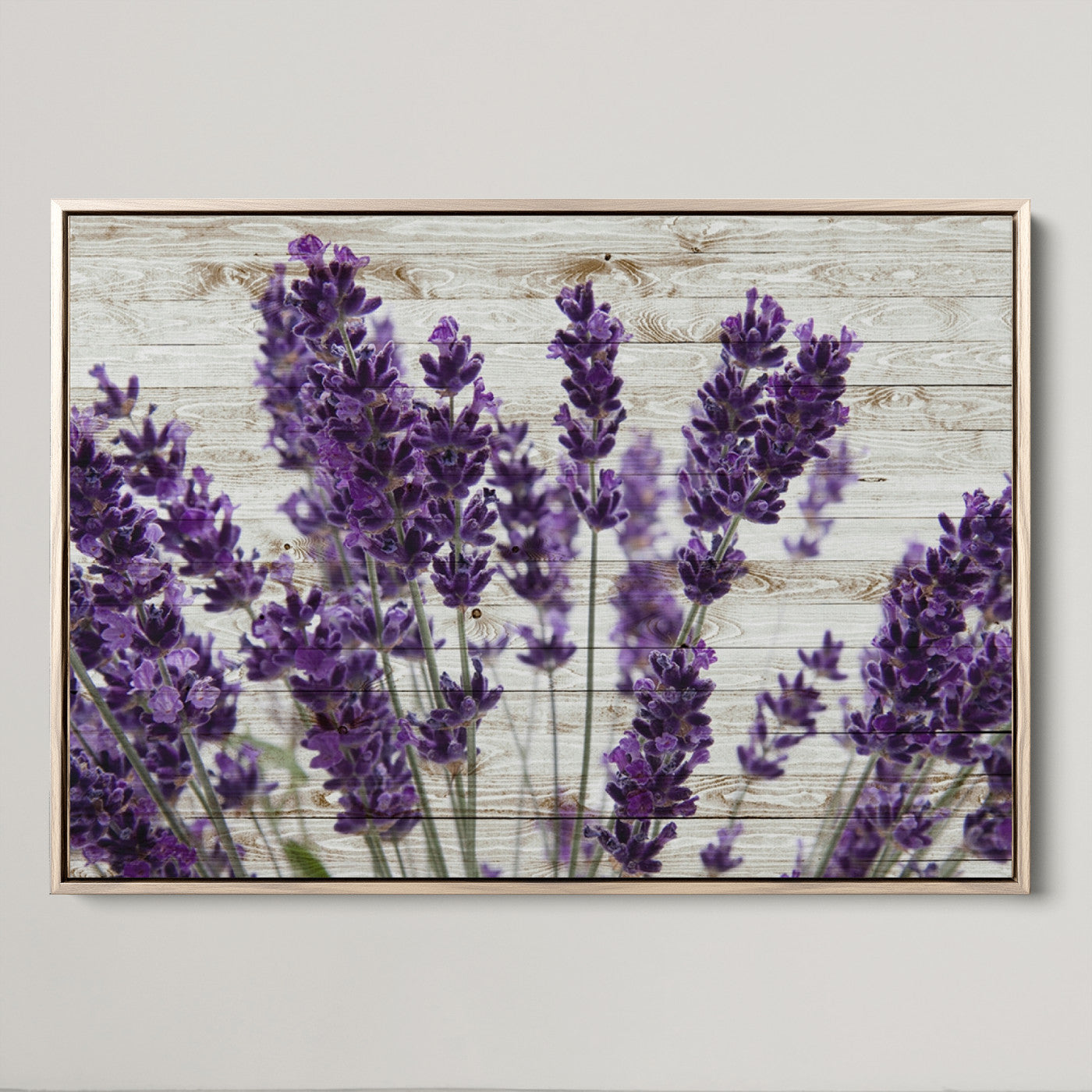 35576-MGV-CV-36X24-Lavender Canvas Wall Art Flower Print