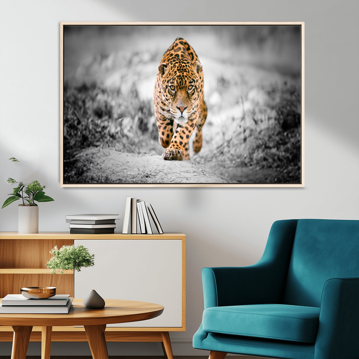 MGV-FC-36X24 - Jaguar Wall Art Canvas Print - Majestic Big Cat in Focused Pursuit - Ready to Hang