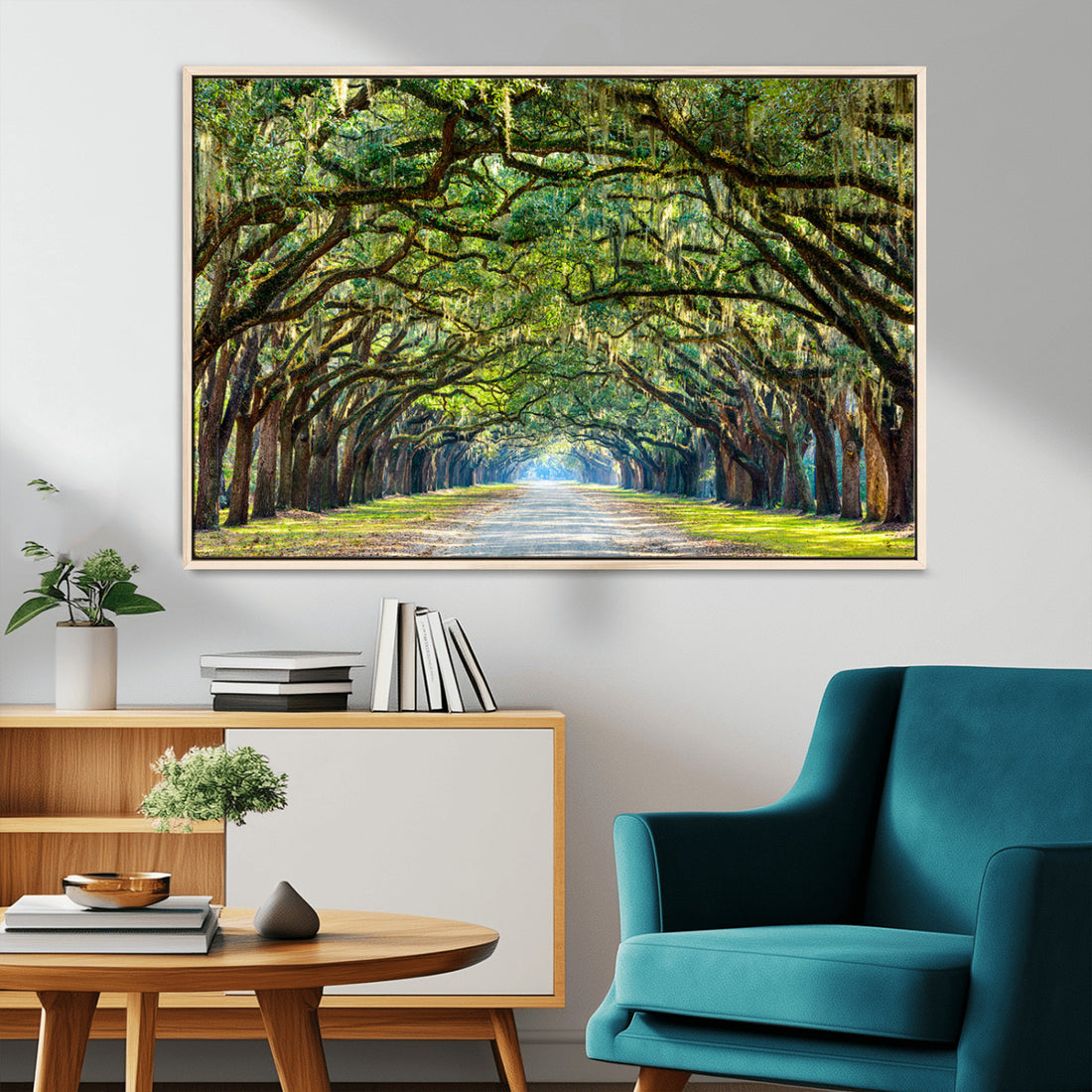 Wormsloe State Plantation Driveway Wall Art Canvas Print