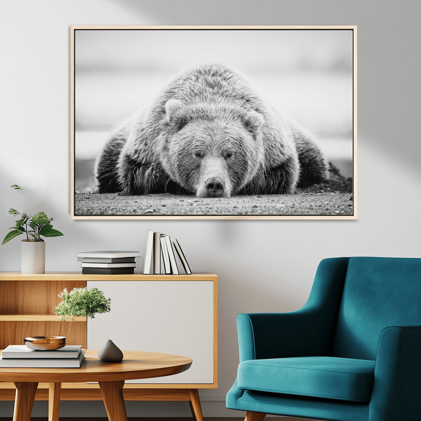 MGV-FC-36X24 - Resting Grizzly Bear Wall Art Canvas Print – Majestic Lazy Black and White Wildlife Bear Art,