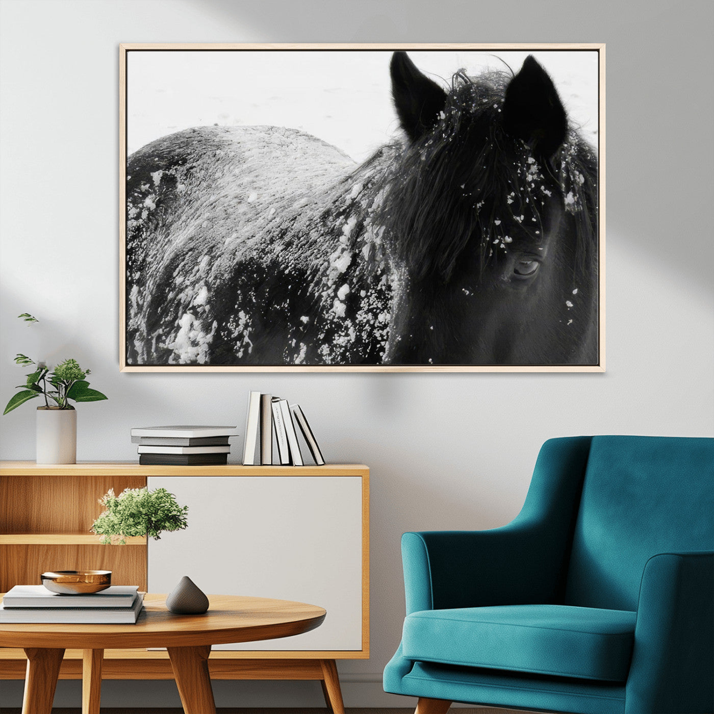MGV-FC-36X24 - Black Horse in Snow Canvas Print | Winter Horse Wall Art | Ready to Hang and Framed | Farmhouse Wall
