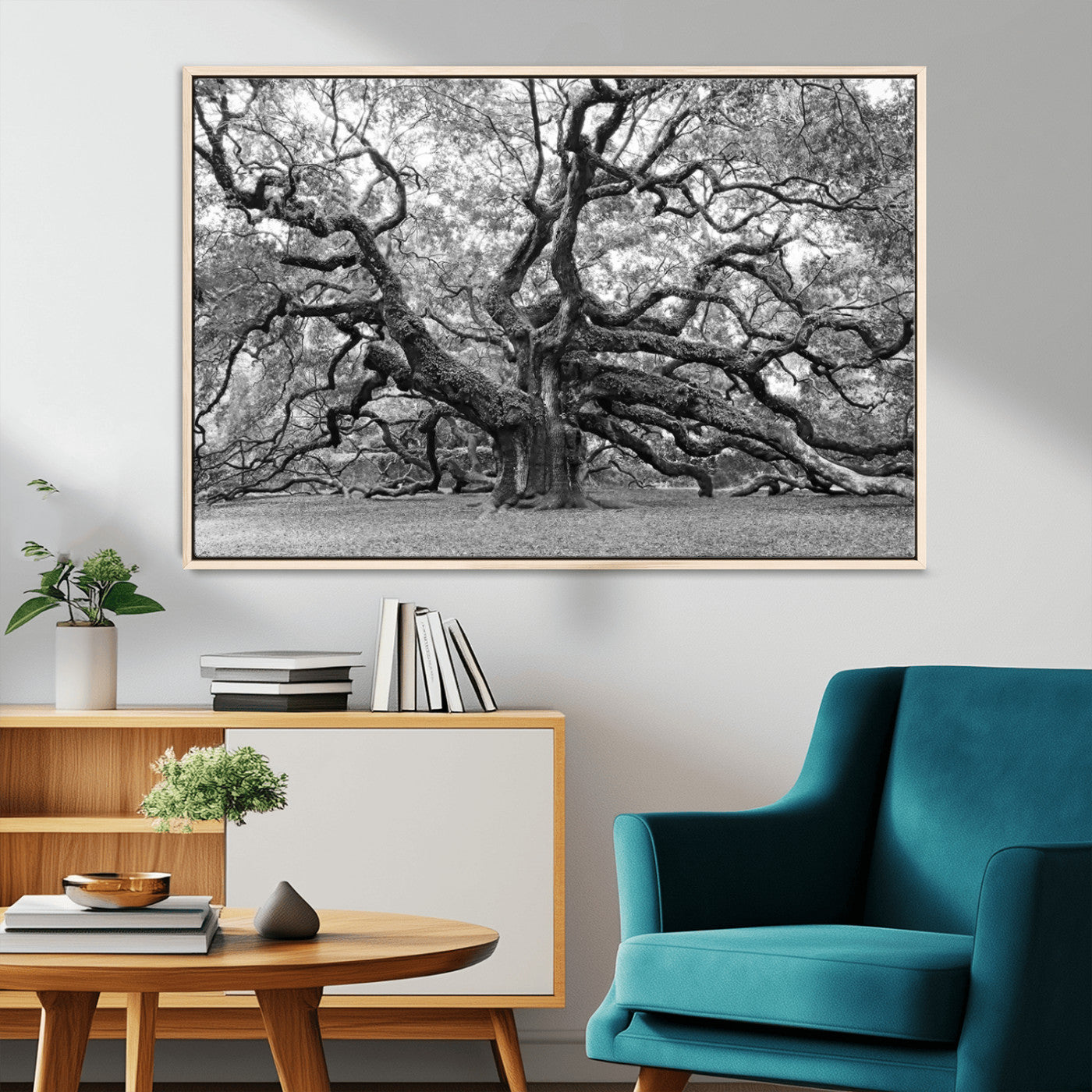 MGV-FC-36X24 - Black White Angel Oak Tree Wall Art - Timeless Nature-Inspired Canvas for Rustic, Modern, or
