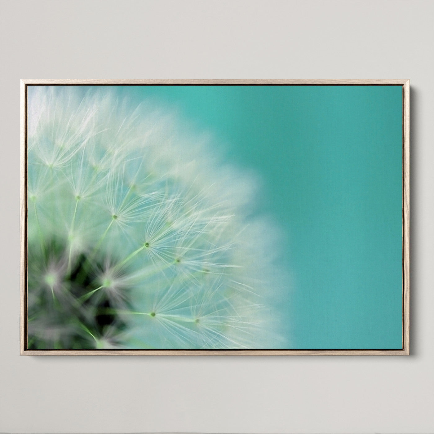 26056-MGV-CV-36X24-DANDELION Flower Wall Art Canvas Print, Canvas Dandelion Floral Wall Art