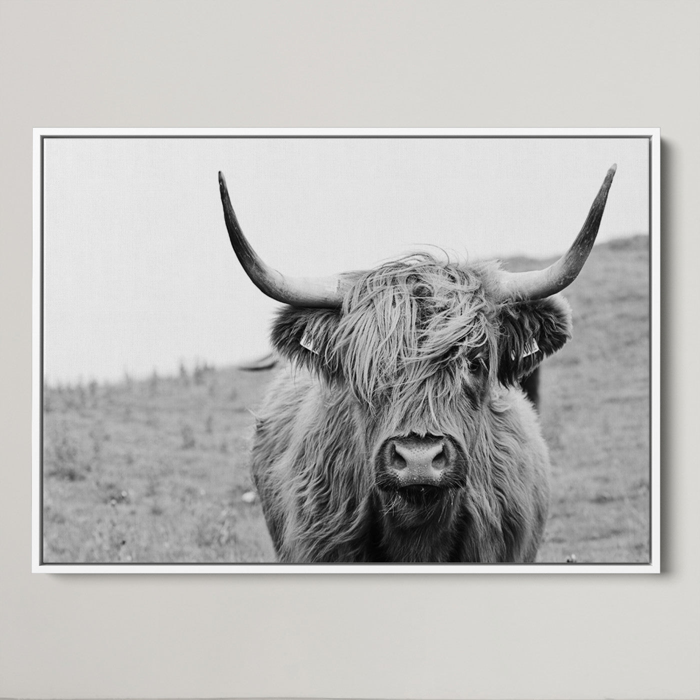 16248-MGV-CV-36X24-Newfoundland Cow Art Wall Art, Black White Cow Art Wall Art Canvas Print