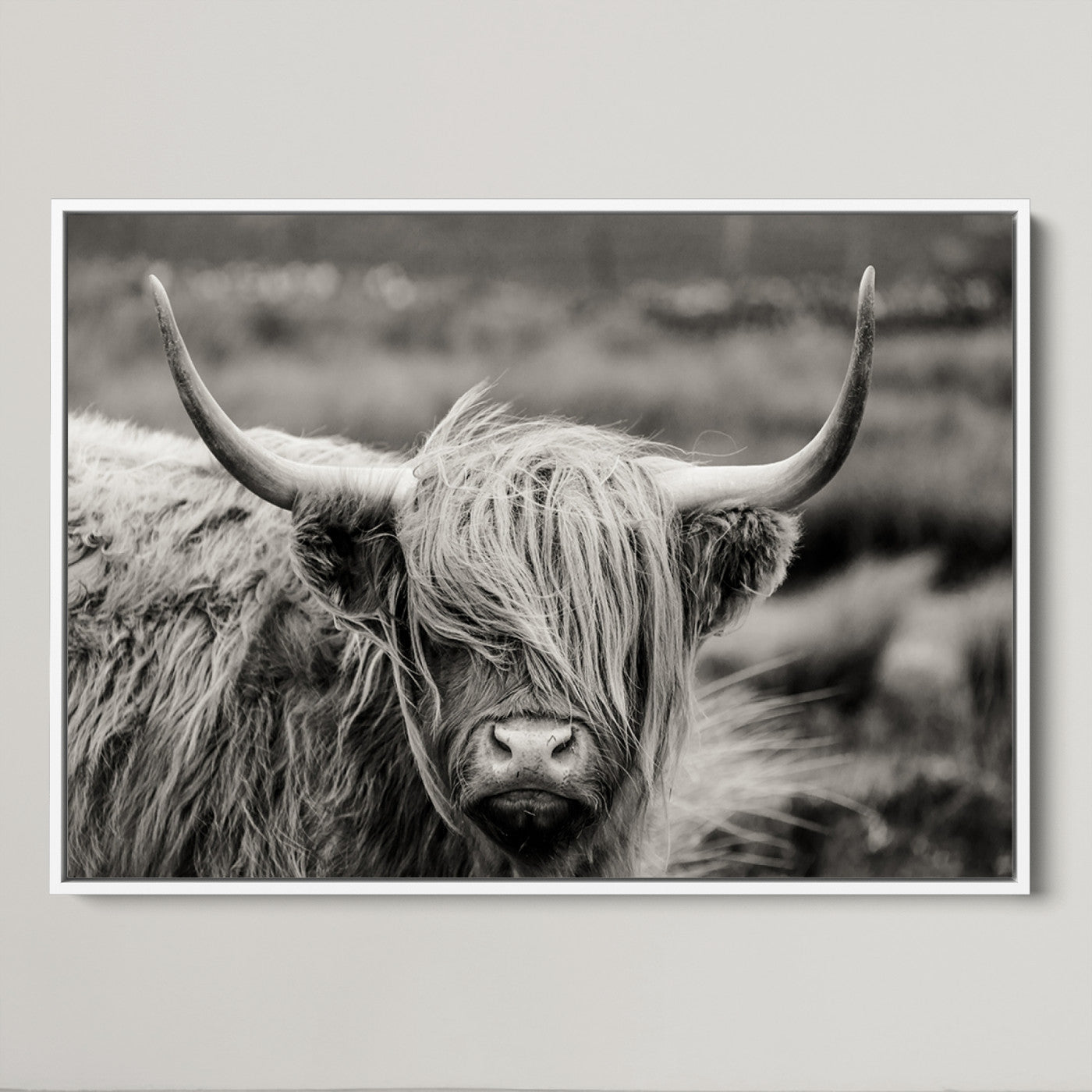67365-MGV-CV-36X24-Cow Focus Canvas Wall Art Print