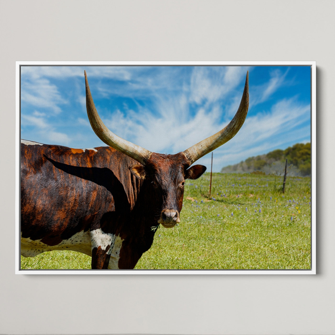 47037-MGV-CV-36X24-Longhorn and Cow Wall Art, Country Cow Wall Decor Canvas Print