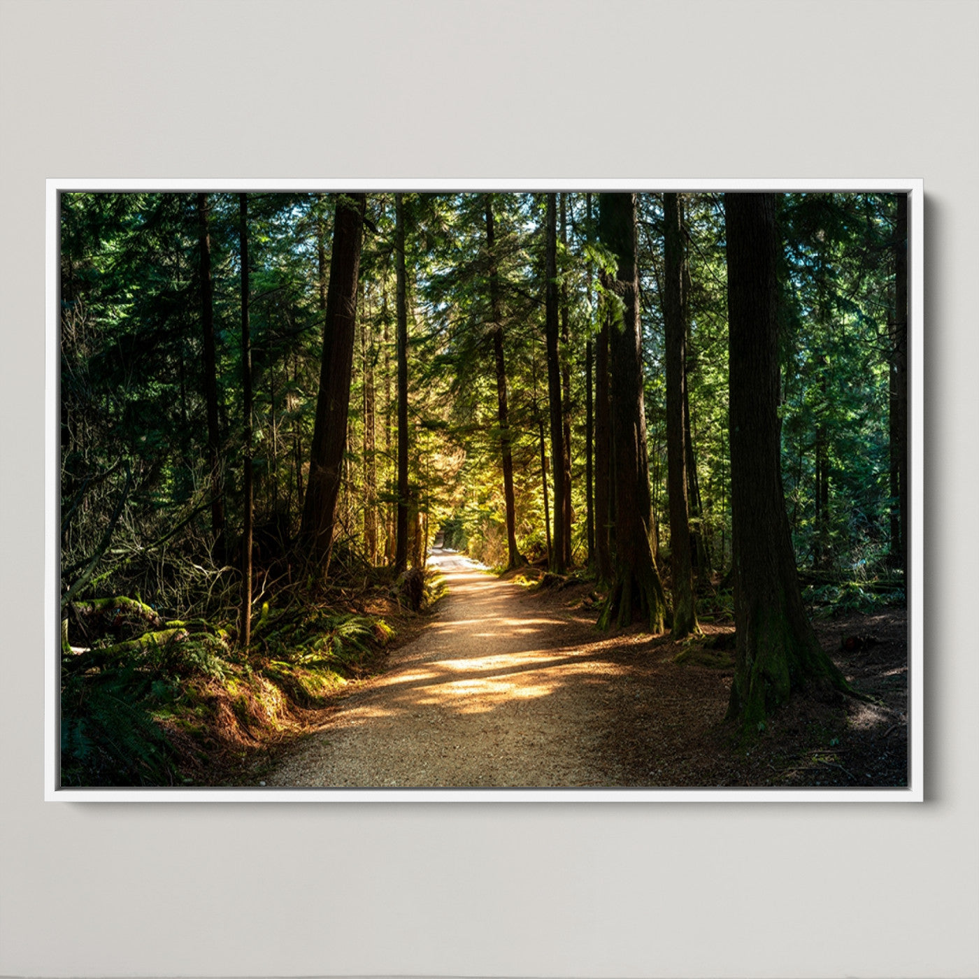 51762-MGV-CV-36X24-Sunlit Forest Pathway Canvas Print | 3 Panel Large Nature Wall Art for Living Room, Office, or Modern Space | Tranquil Scenic Forest, Ready