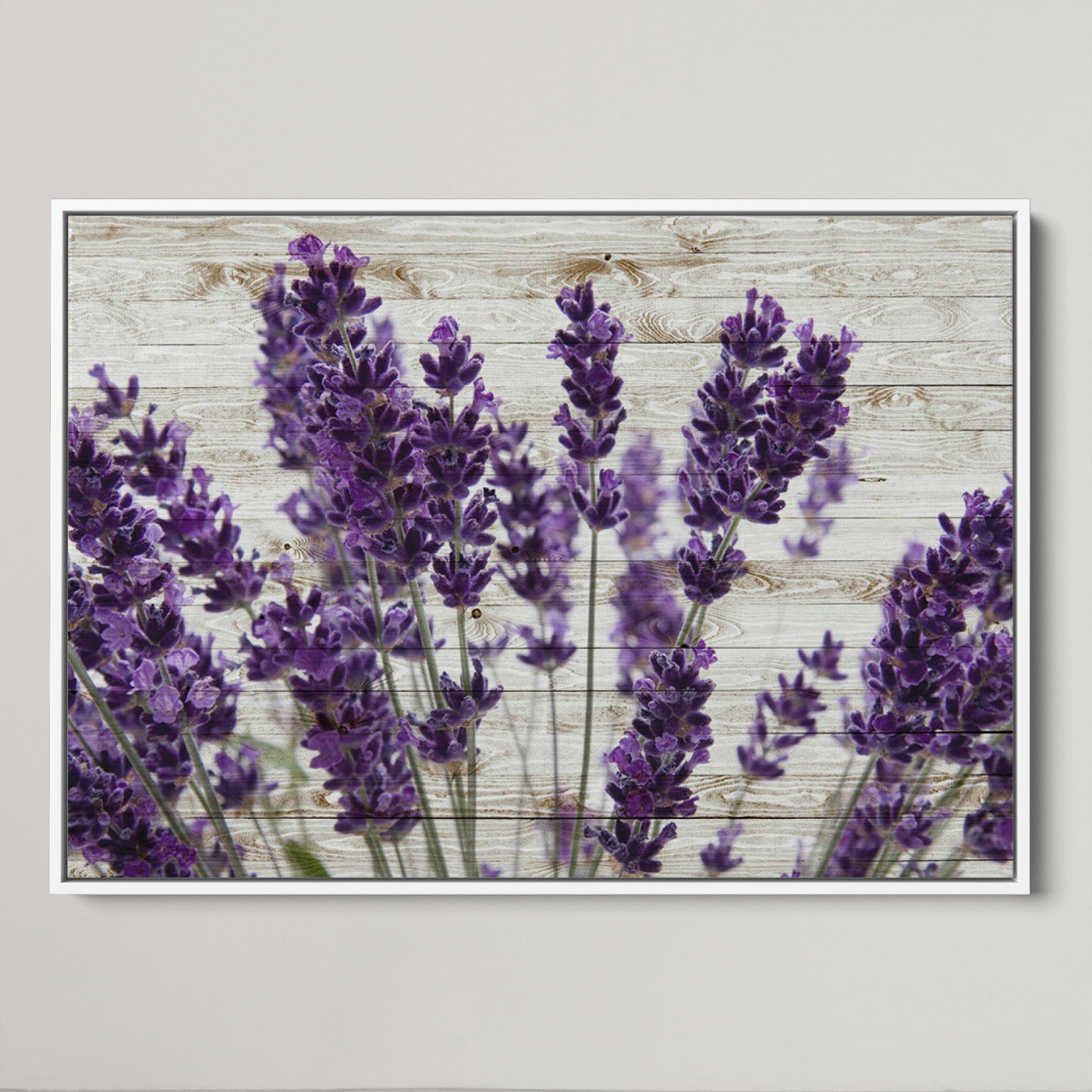 35576-MGV-CV-36X24-Lavender Canvas Wall Art Flower Print