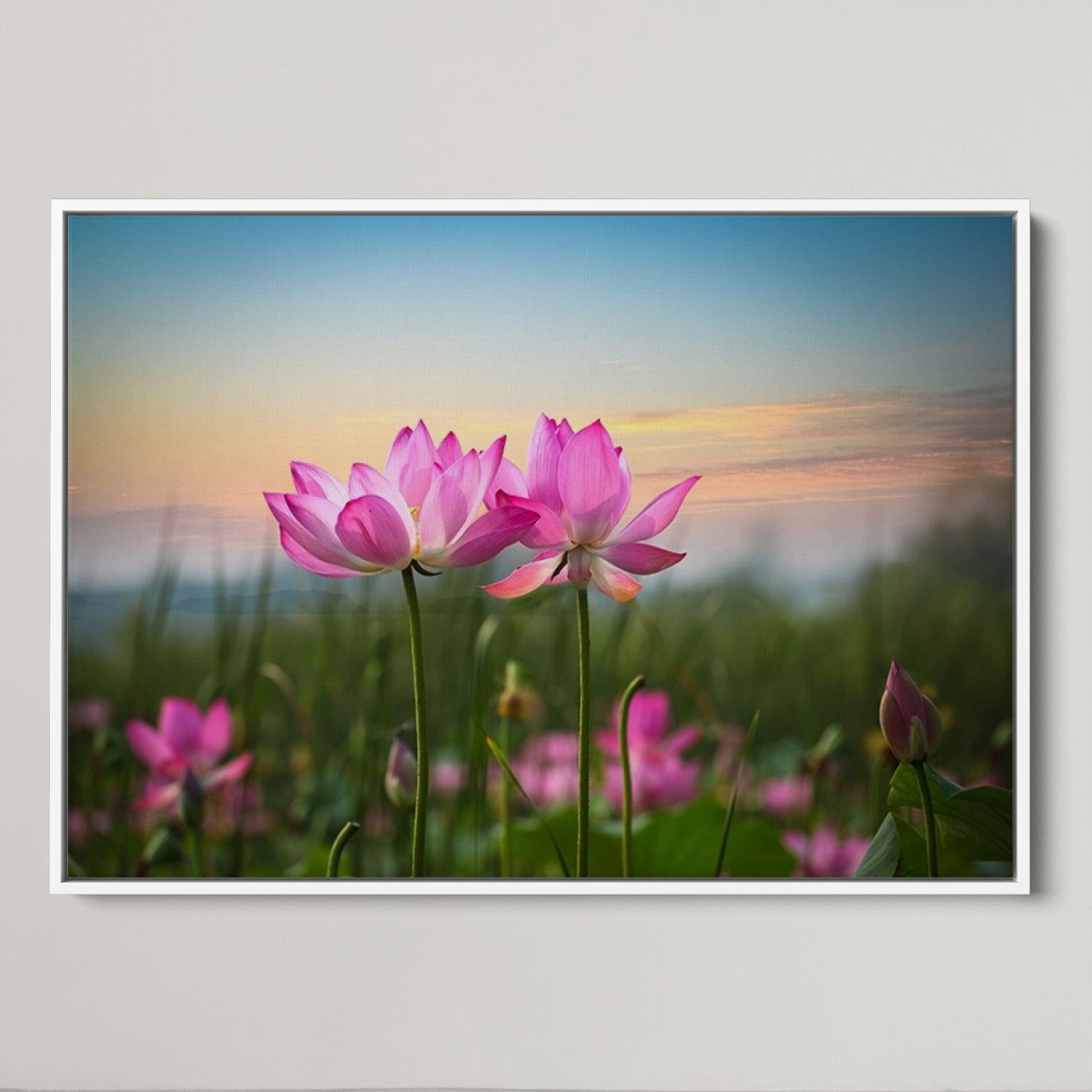 64234-MGV-CV-36X24-Pink Flower on the Mountain Canvas Print, Framed Pink Flower Canvas Wall Art