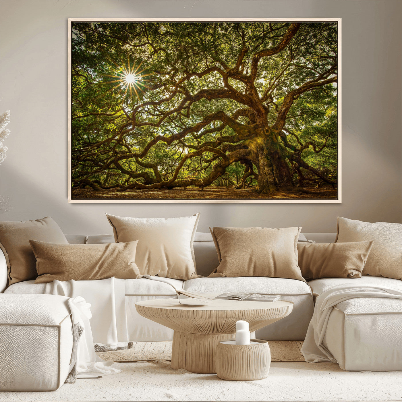 MGV-FC-36X24 - Ancient Angel Oak Tree Art Sunburst Canvas Print- Nature-Inspired Triptych Canvas Print, Framed, Ready to Hang