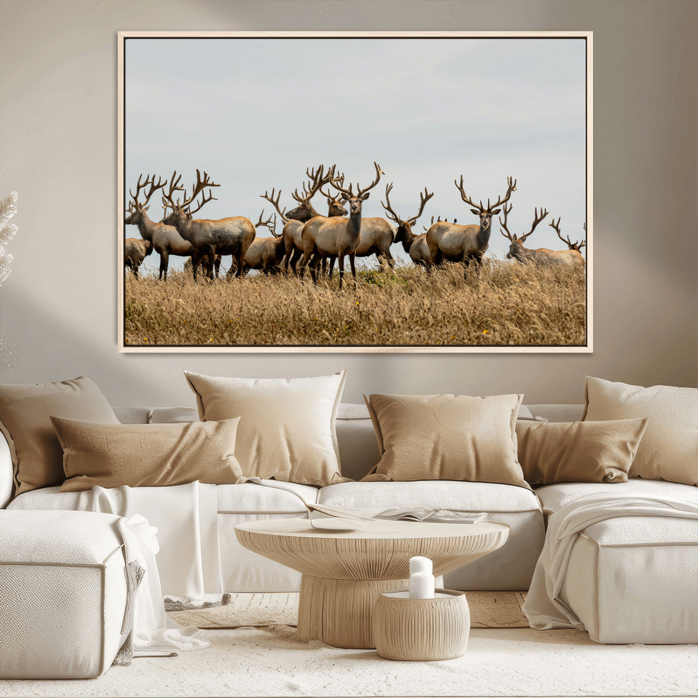 MGV-FC-36X24 - Elk Herd Wall Art Canvas Print, Framed Wildlife Photography Art Picture Print, Majestic Antlers Perfect Rustic Wildlife Decor Artwork