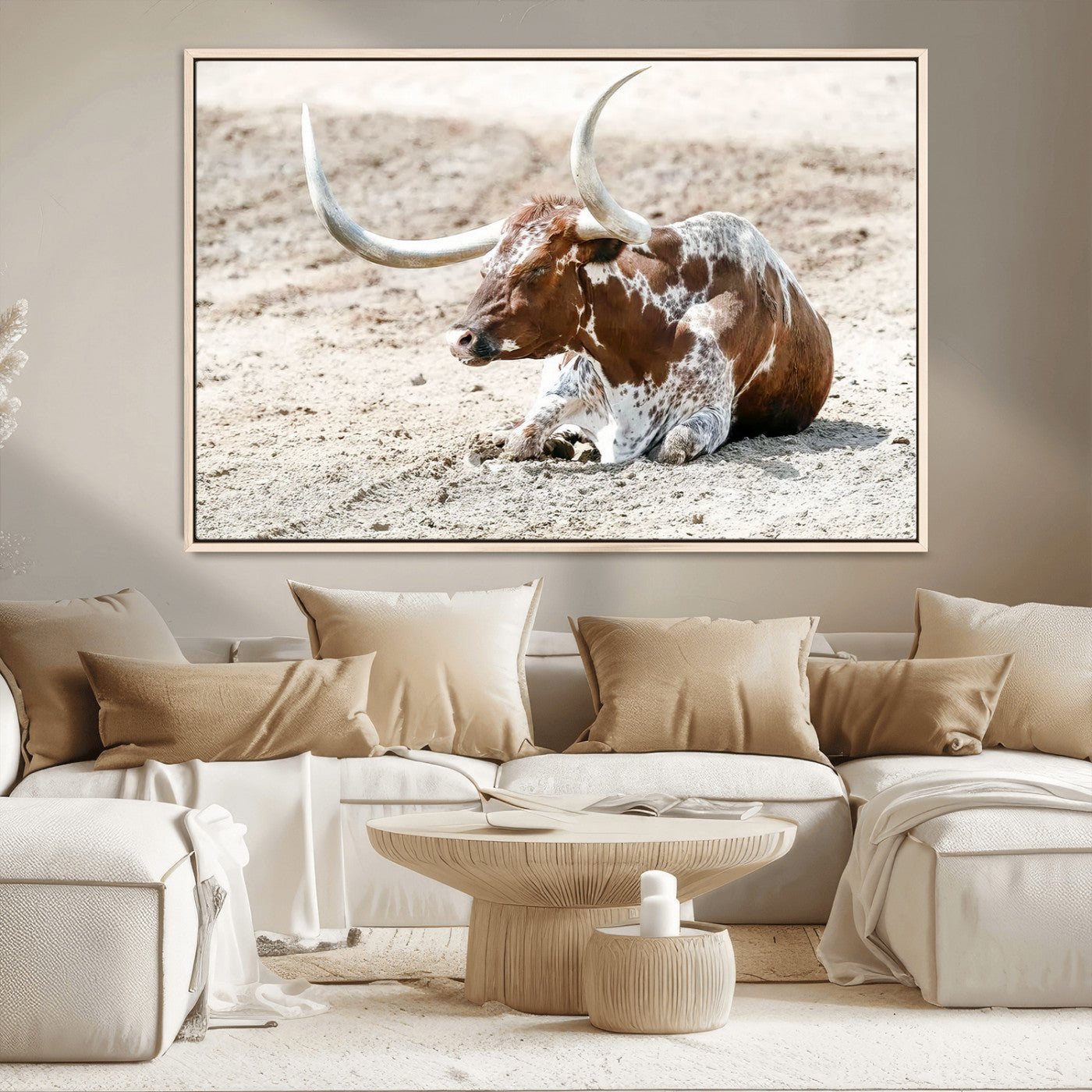MGV-FC-36X24 - Majestic Longhorn Resting on Sunlit Desert Ground – Striking Western-Themed Wall Art Canvas Print