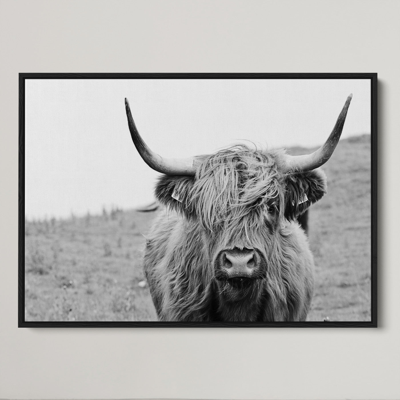 16248-MGV-CV-36X24-Newfoundland Cow Art Wall Art, Black White Cow Art Wall Art Canvas Print