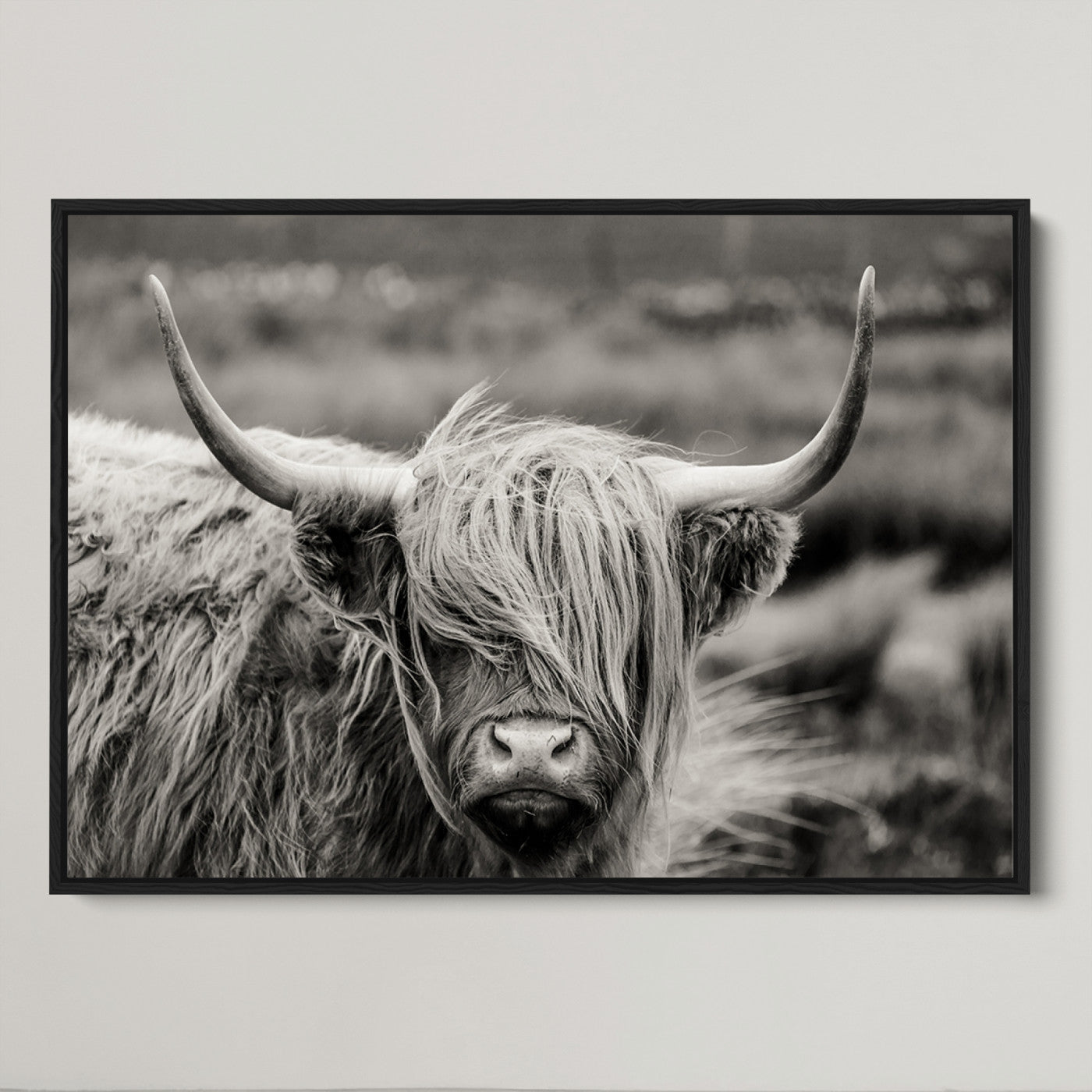 67365-MGV-CV-36X24-Cow Focus Canvas Wall Art Print
