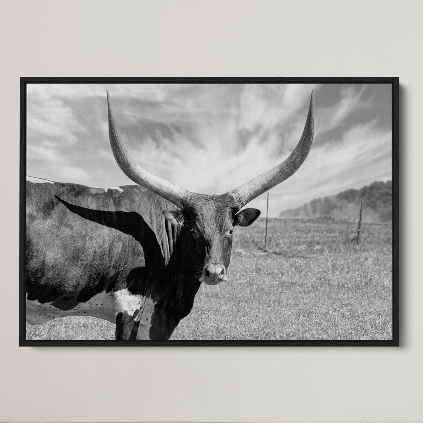 30017-MGV-CV-36X24-Cattle Wall Art Longhorn Cow Canvas Print