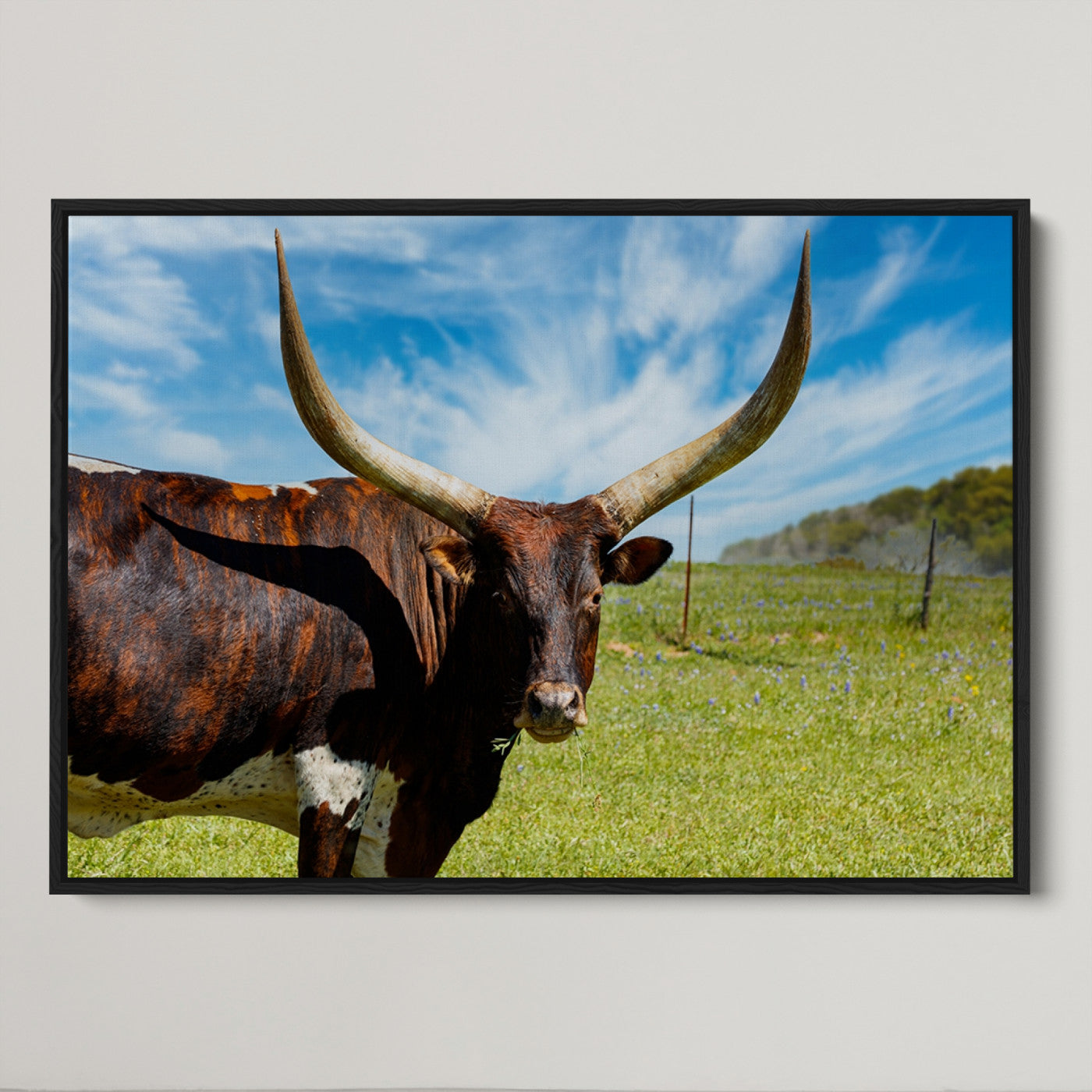 47037-MGV-CV-36X24-Longhorn and Cow Wall Art, Country Cow Wall Decor Canvas Print