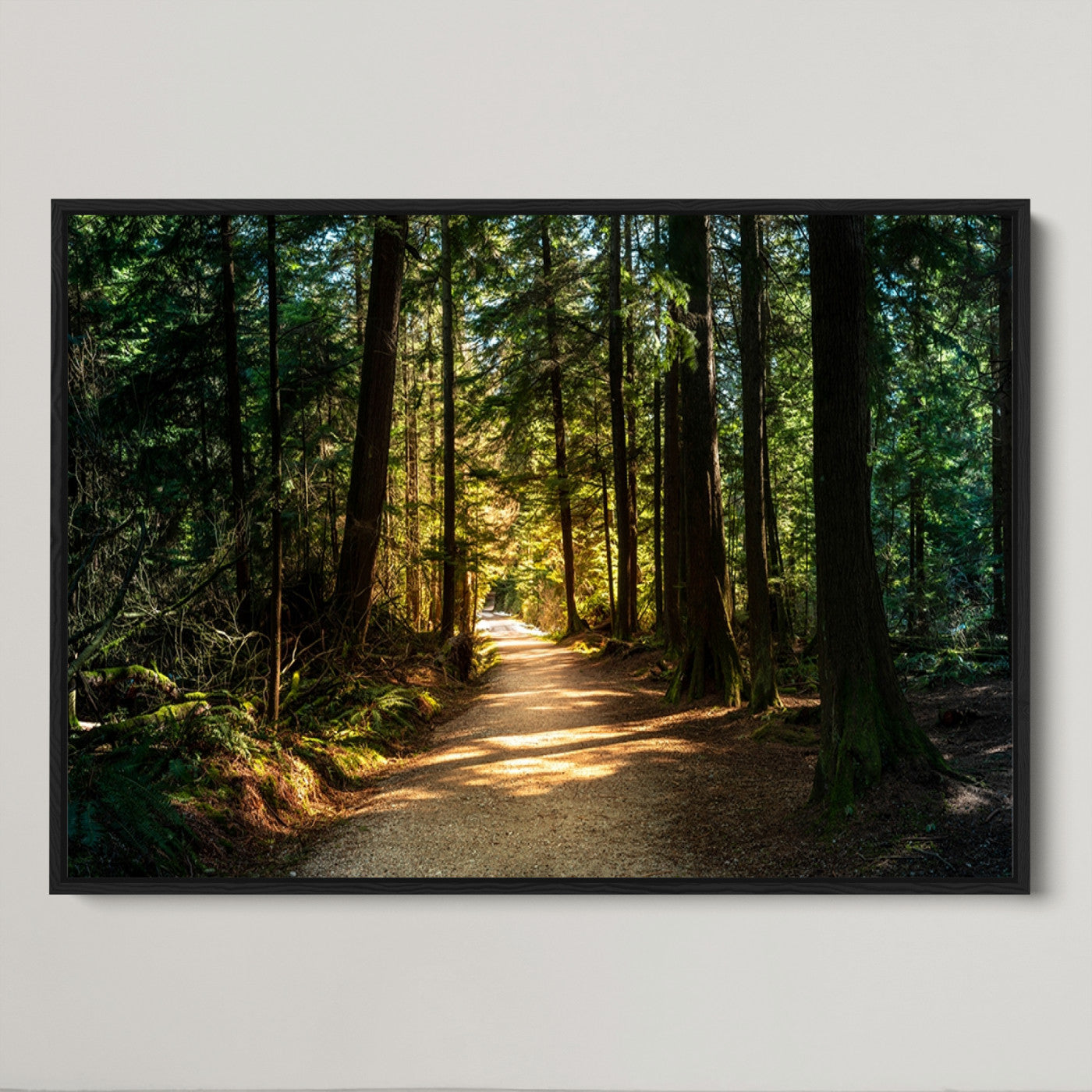 51762-MGV-FC-36X24_Black-Sunlit Forest Pathway Canvas Print | 3 Panel Large Nature Wall Art for Living Room, Office, or Modern Space | Tranquil Scenic Forest, Ready