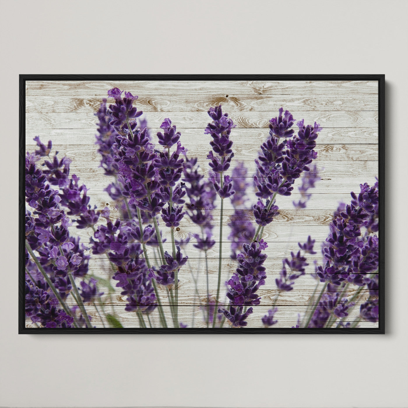 35576-MGV-CV-36X24-Lavender Canvas Wall Art Flower Print