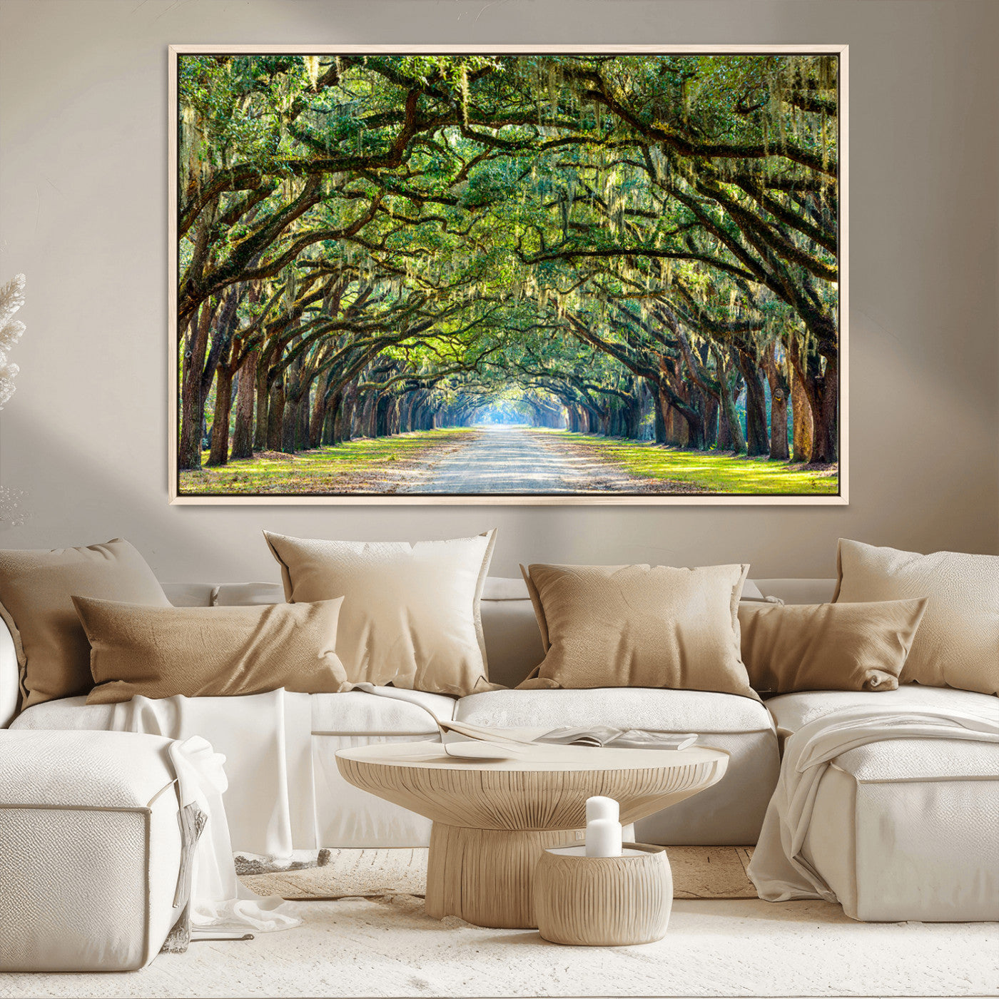 MGV-FC-36X24 - Wormsloe State Plantation Driveway Wall Art Canvas Print