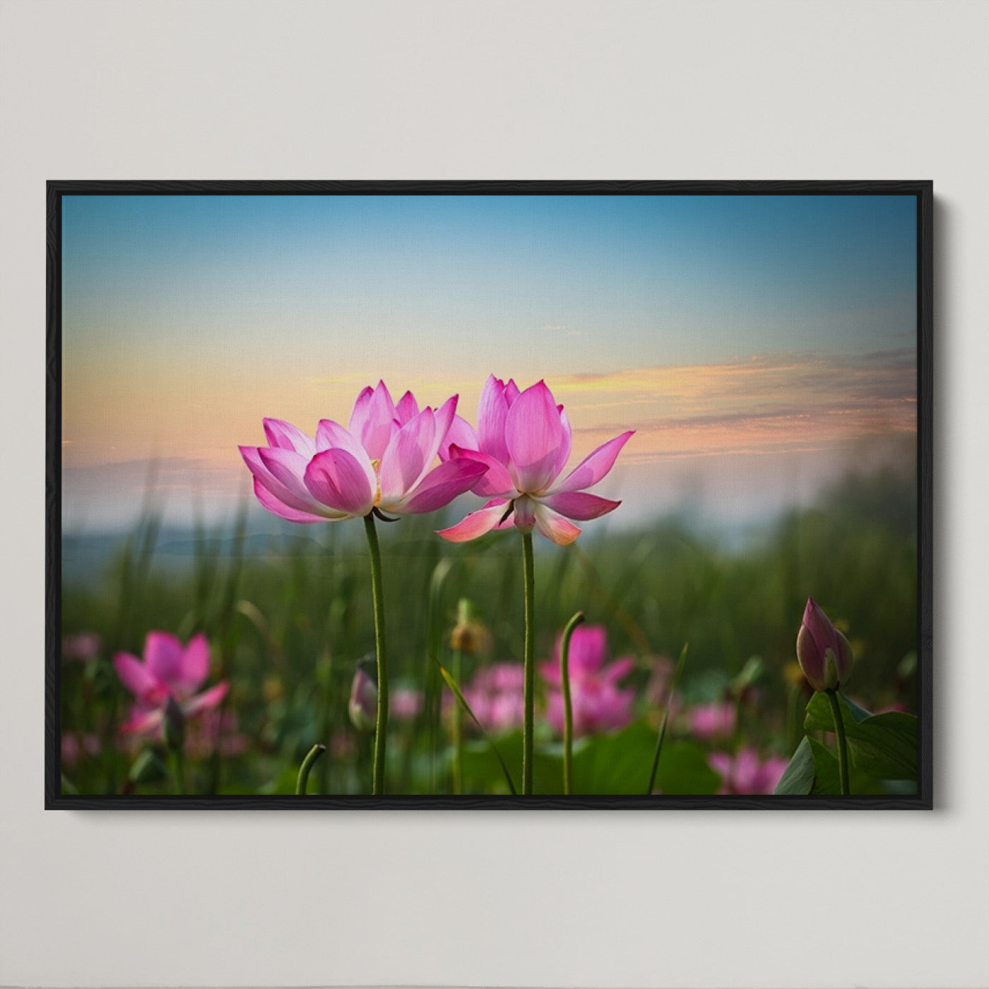 64234-MGV-CV-36X24-Pink Flower on the Mountain Canvas Print, Framed Pink Flower Canvas Wall Art