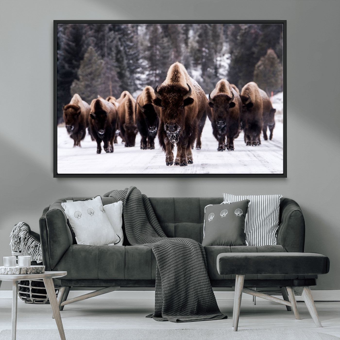 MGV-FC-36X24 - Bison Wall Art Canvas Print- Bison Herd Canvas Wall Art – Majestic Wildlife Photography – Framed and Ready to Hang Nature-Inspired Art - Buffalo Wall Art Print