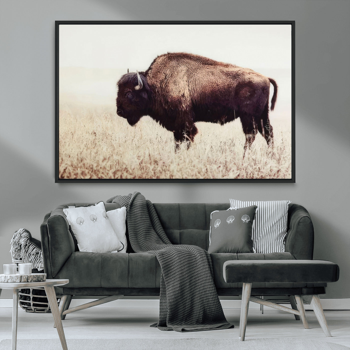 MGV-FC-36X24 - Bison in Field Wall Art Canvas Print For Farmhouse Barn Decor
