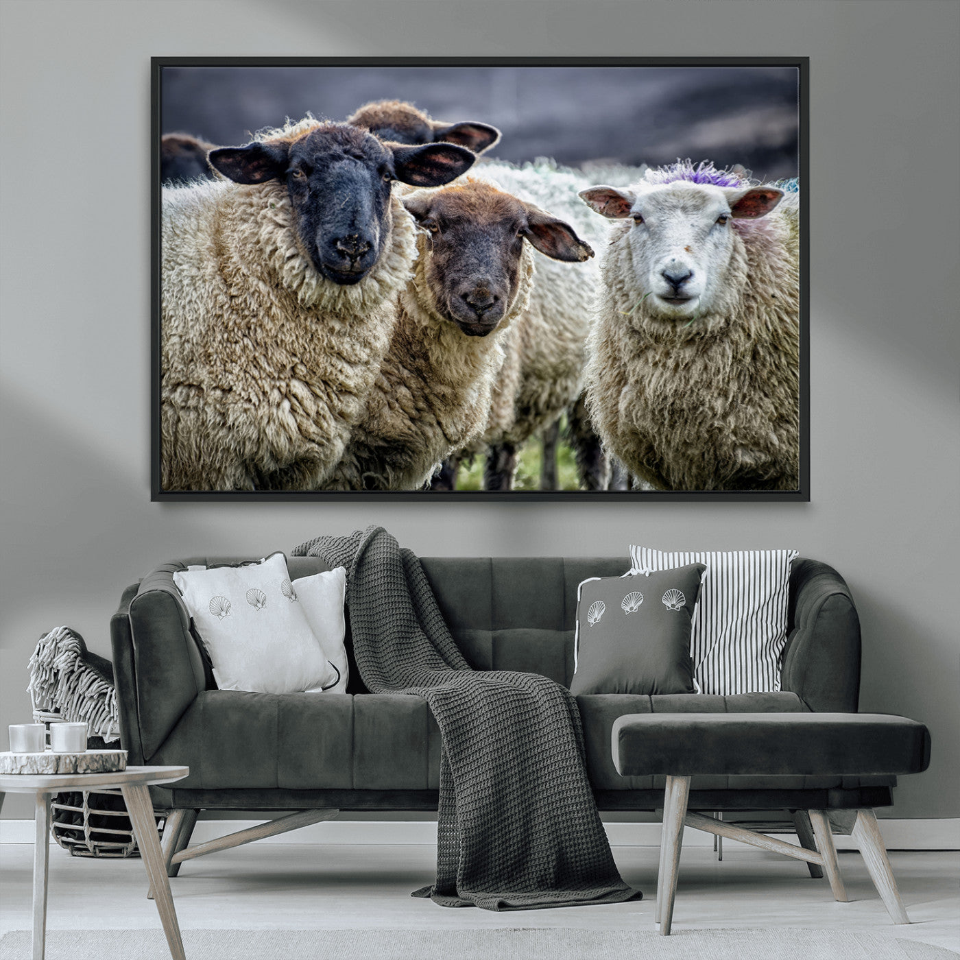 -Charming Sheep Portrait Wall Art – Trio of Woolly Companions Canvas Print, Framed, Ready to Hang
