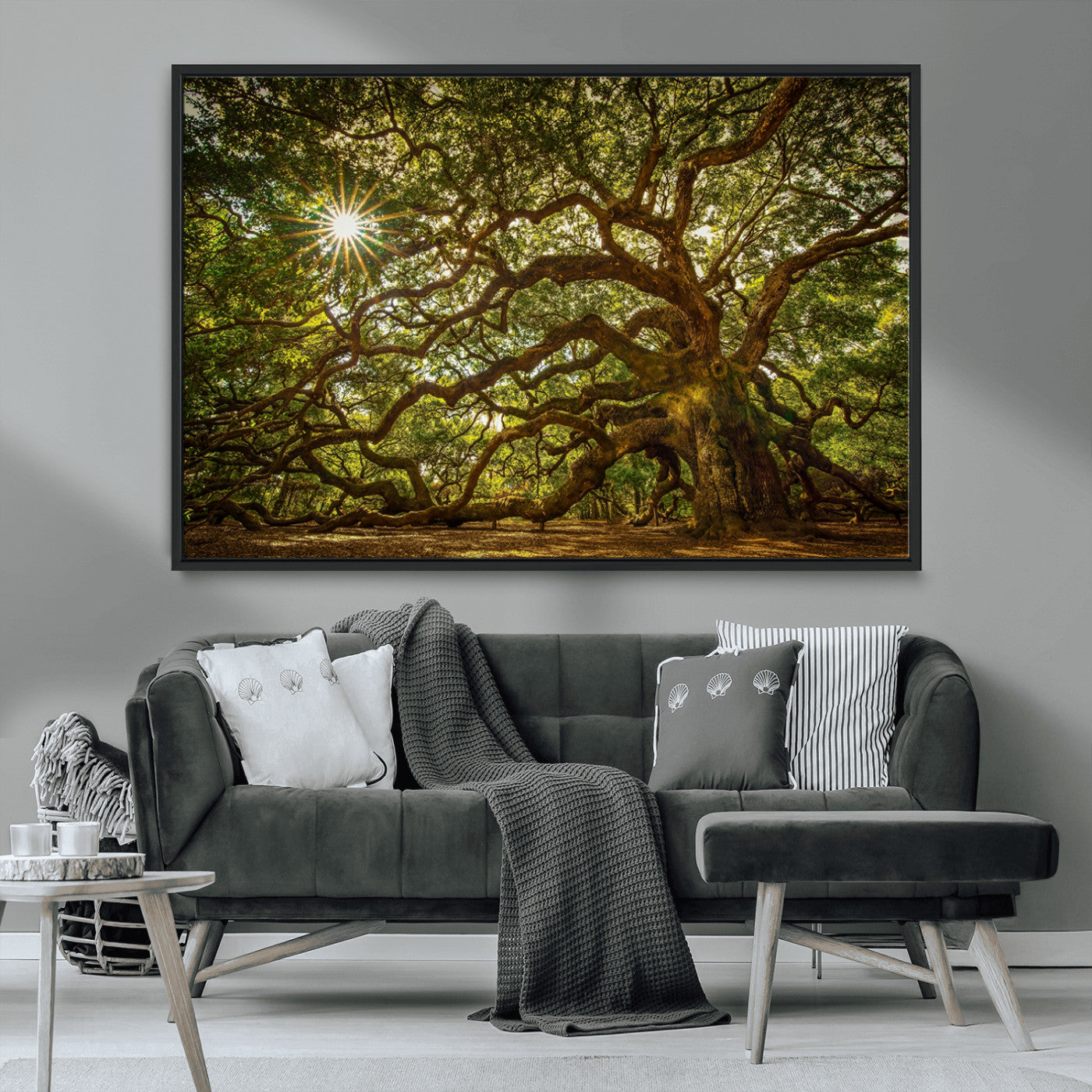 MGV-FC-36X24 - Ancient Angel Oak Tree Art Sunburst Canvas Print- Nature-Inspired Triptych Canvas Print, Framed, Ready to Hang