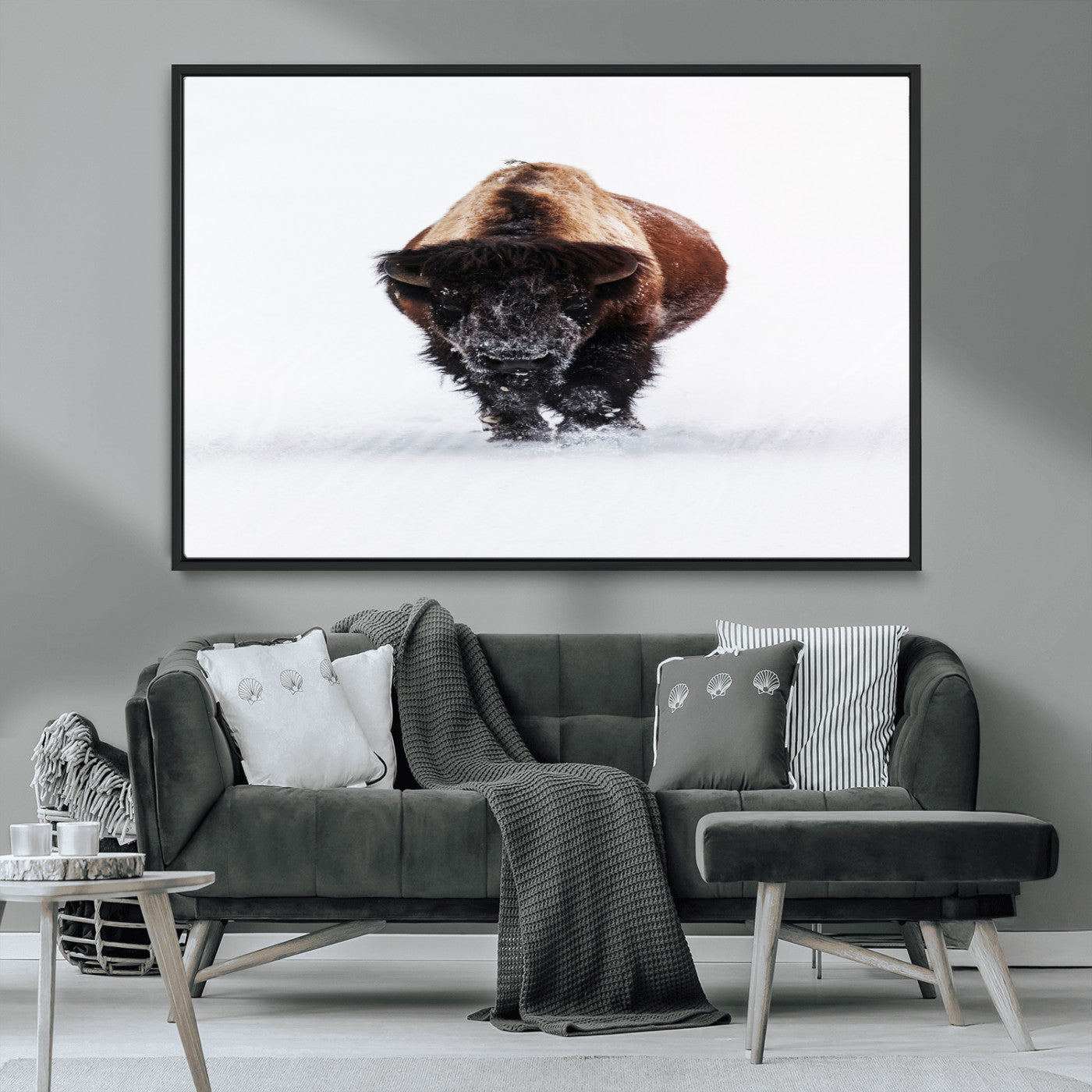 Front view of a strong bison walking in deep snow, isolated white background, perfect for rustic or lodge-style home decor.