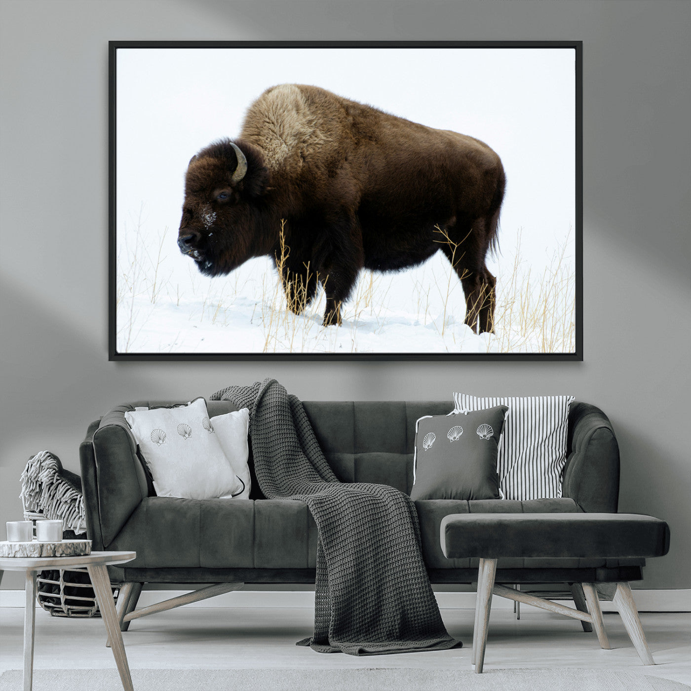 MGV-FC-36X24 - Bison Photography Wall Art Canvas Print, Framed Western Wildlife Art Picture Print, Buffalo On Snow Perfect Western Decor Artwork