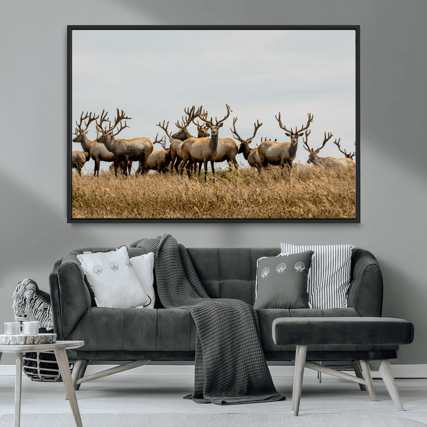 MGV-FC-36X24 - Elk Herd Wall Art Canvas Print, Framed Wildlife Photography Art Picture Print, Majestic Antlers Perfect Rustic Wildlife Decor Artwork