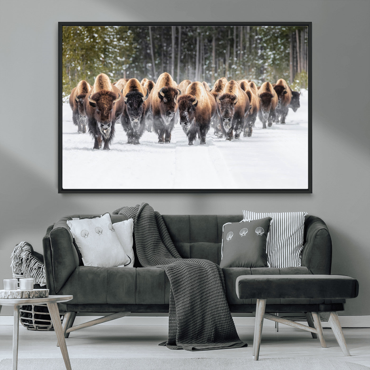 MGV-FC-36X24 - American Bison Herd in Snow Wall Art Canvas Print – Powerful Winter Wildlife Scene with Buffalo in