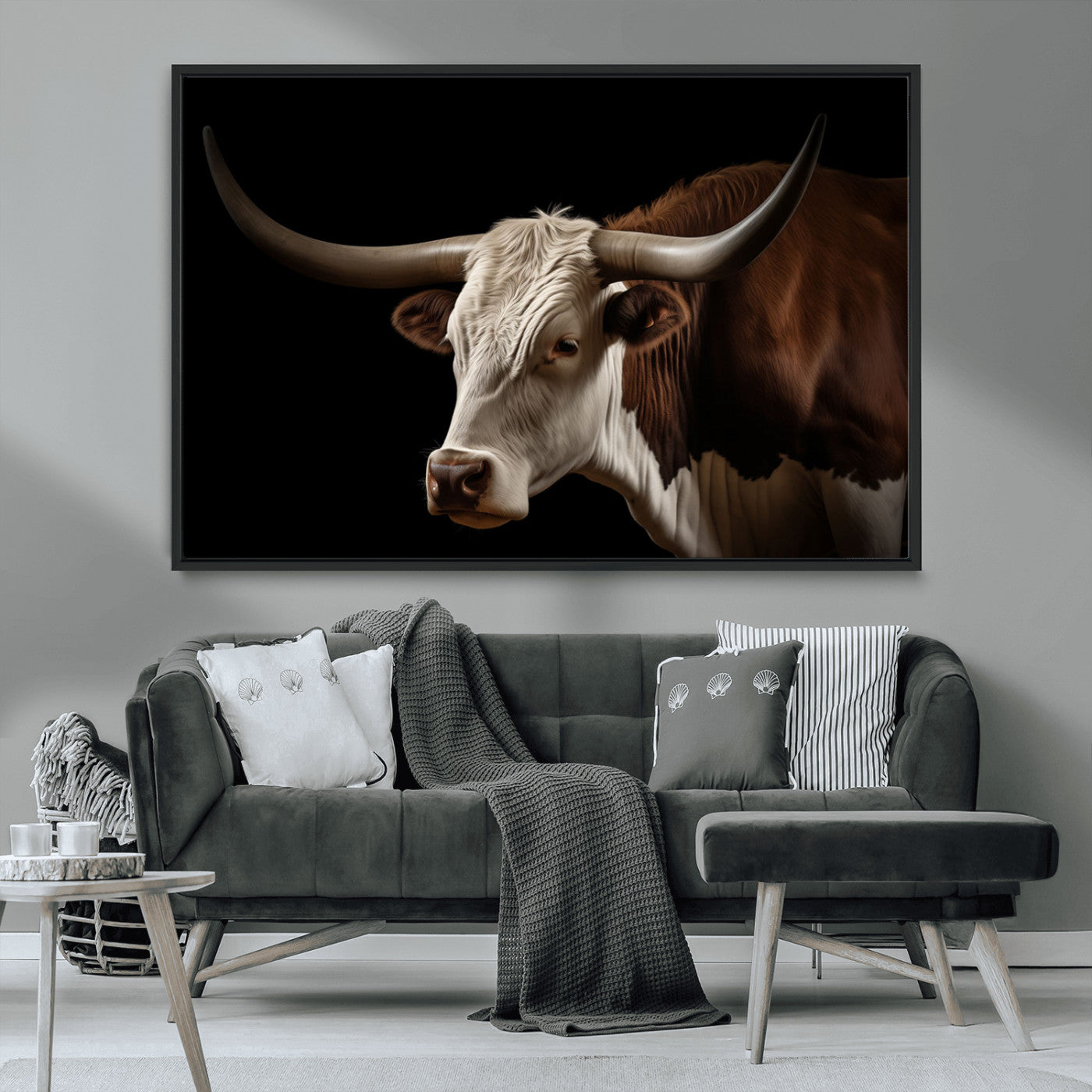 "Close-up of a brown and white longhorn cow with prominent curved horns against a black background."