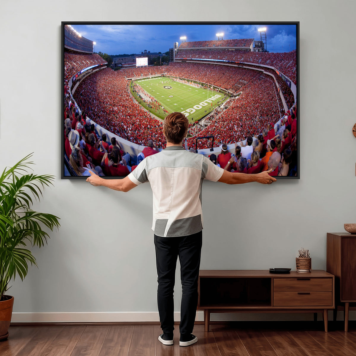 10244378-MGV-CV-36X24 - Dooley Stadium Wall Art, Sports Arena Canvas Print, Dooley Field, Home Bar Wall Decor