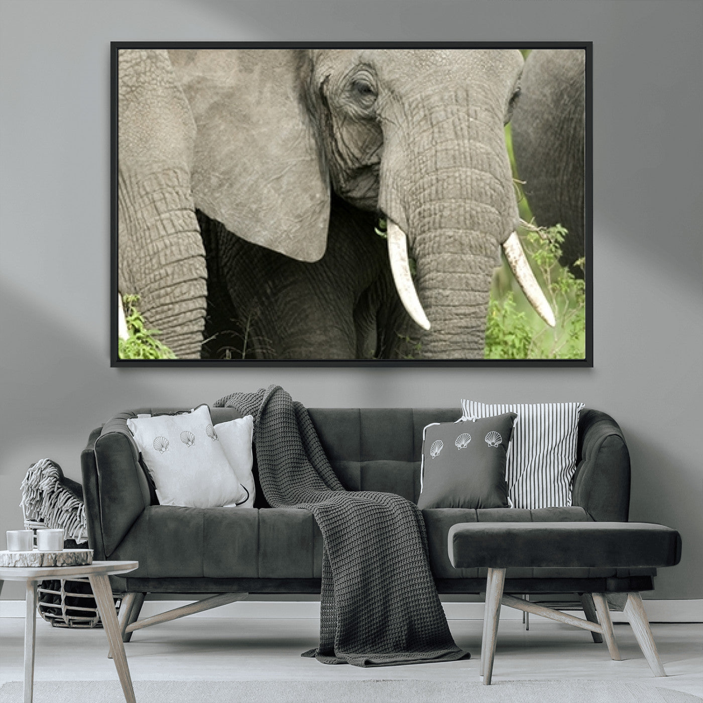 MGV-FC-36X24 - Wild Elephant Wall Art Canvas Print